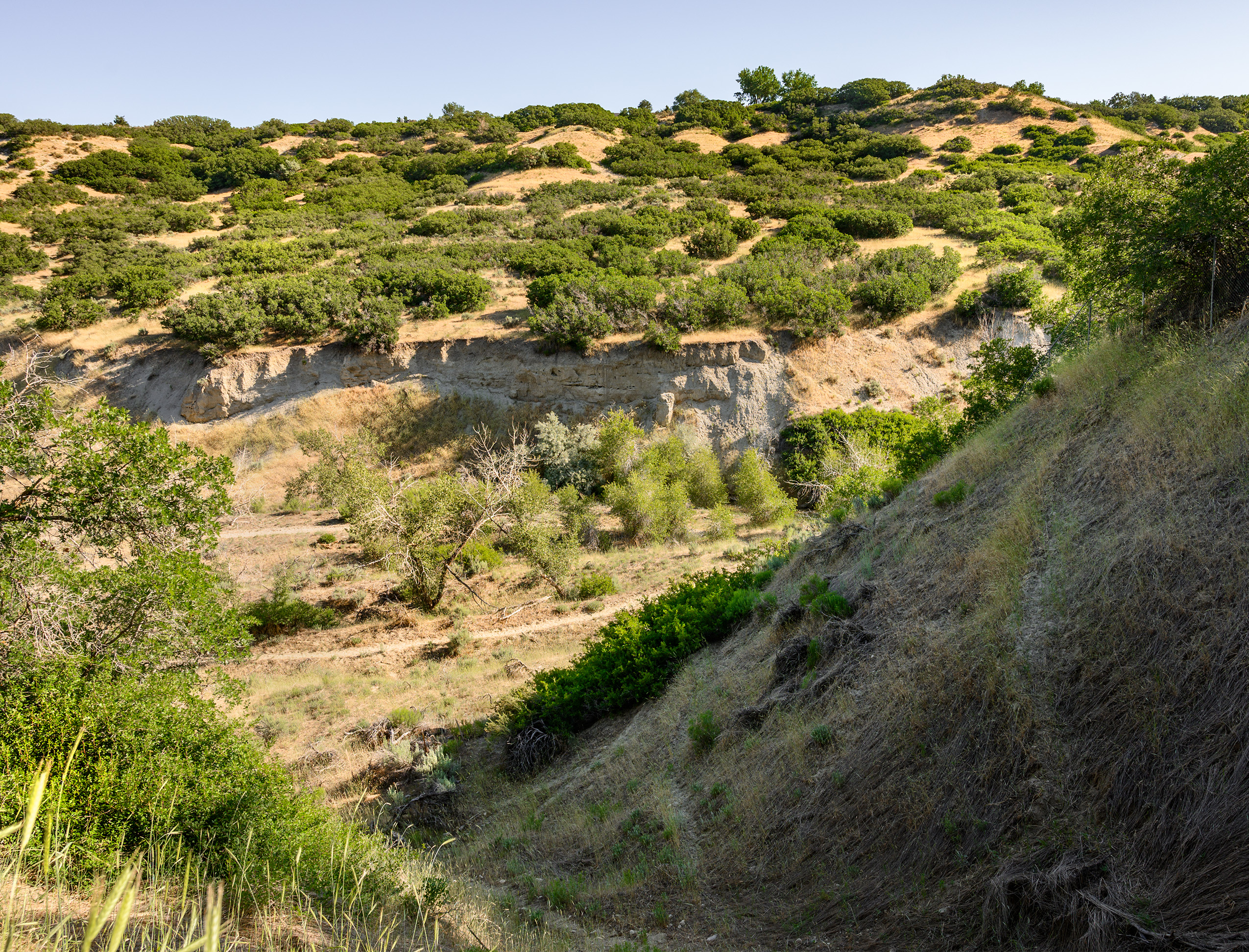 Dimple Dell Trail West