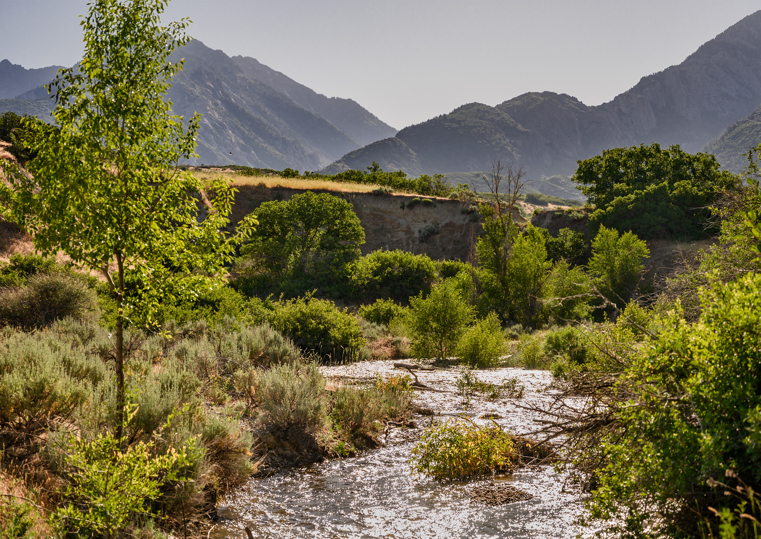 Dimple Dell Trail West