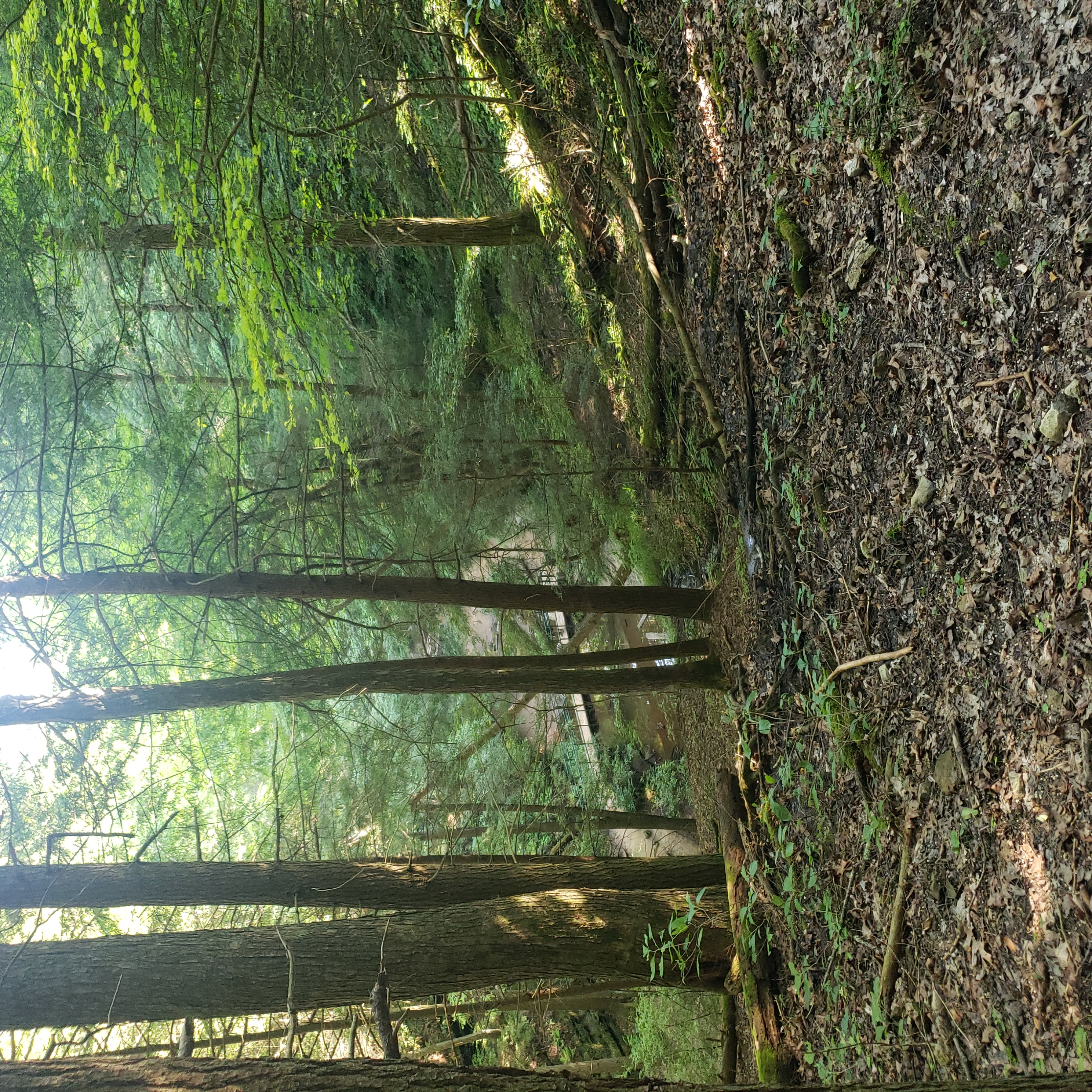 Old Man's Cave Loop