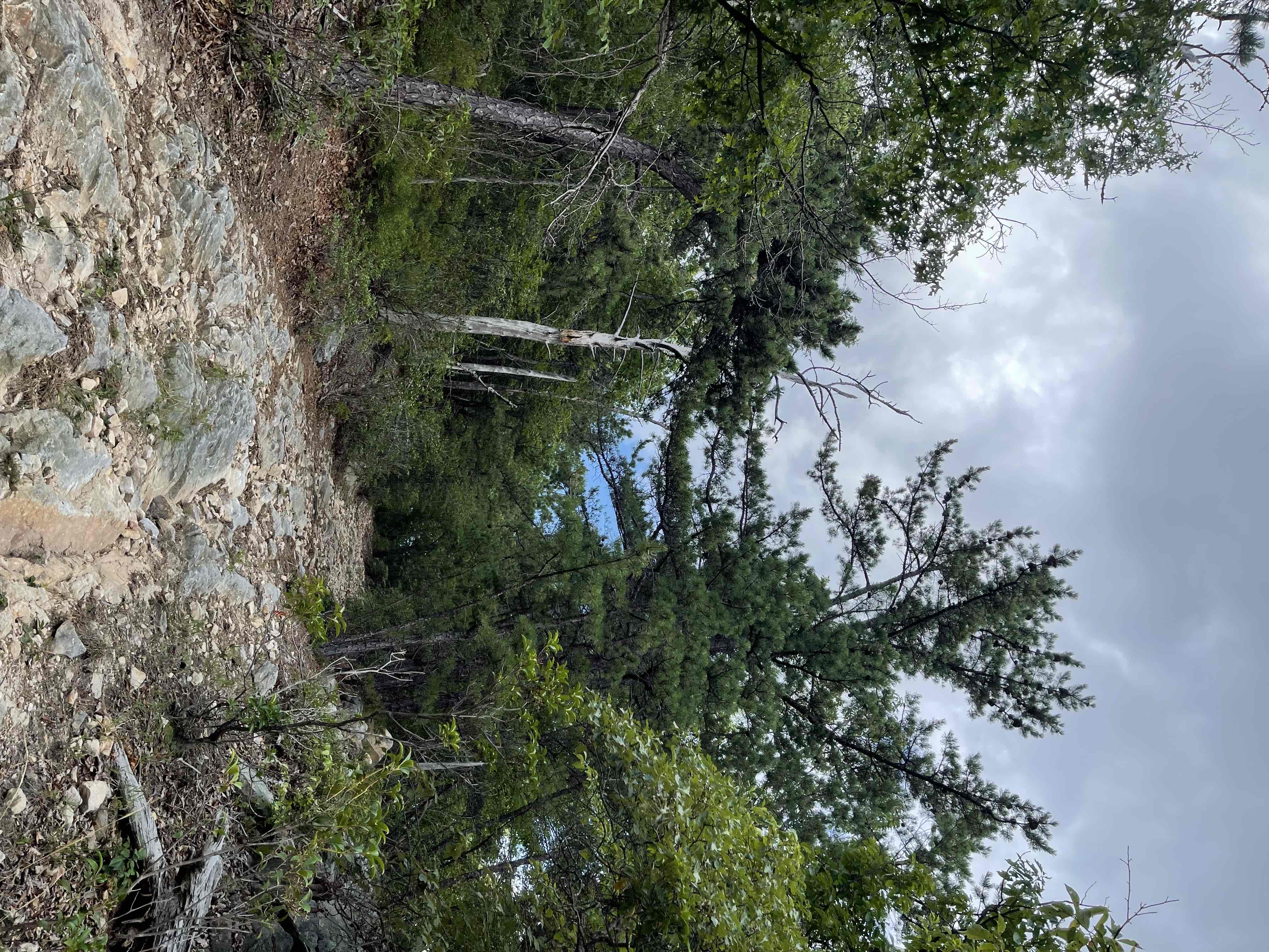Orkney Springs Trail
