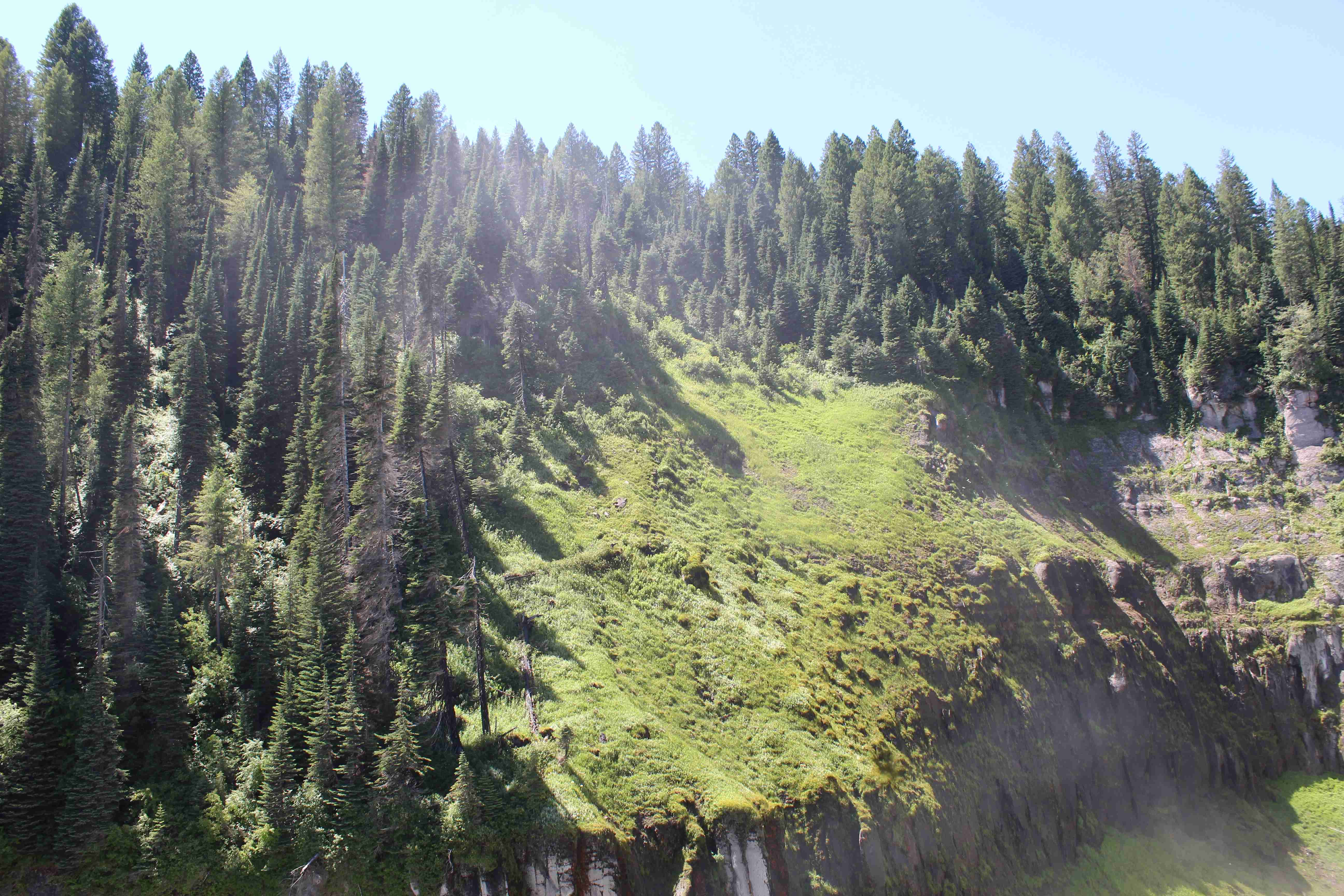 Upper and Lower Mesa Falls Loop