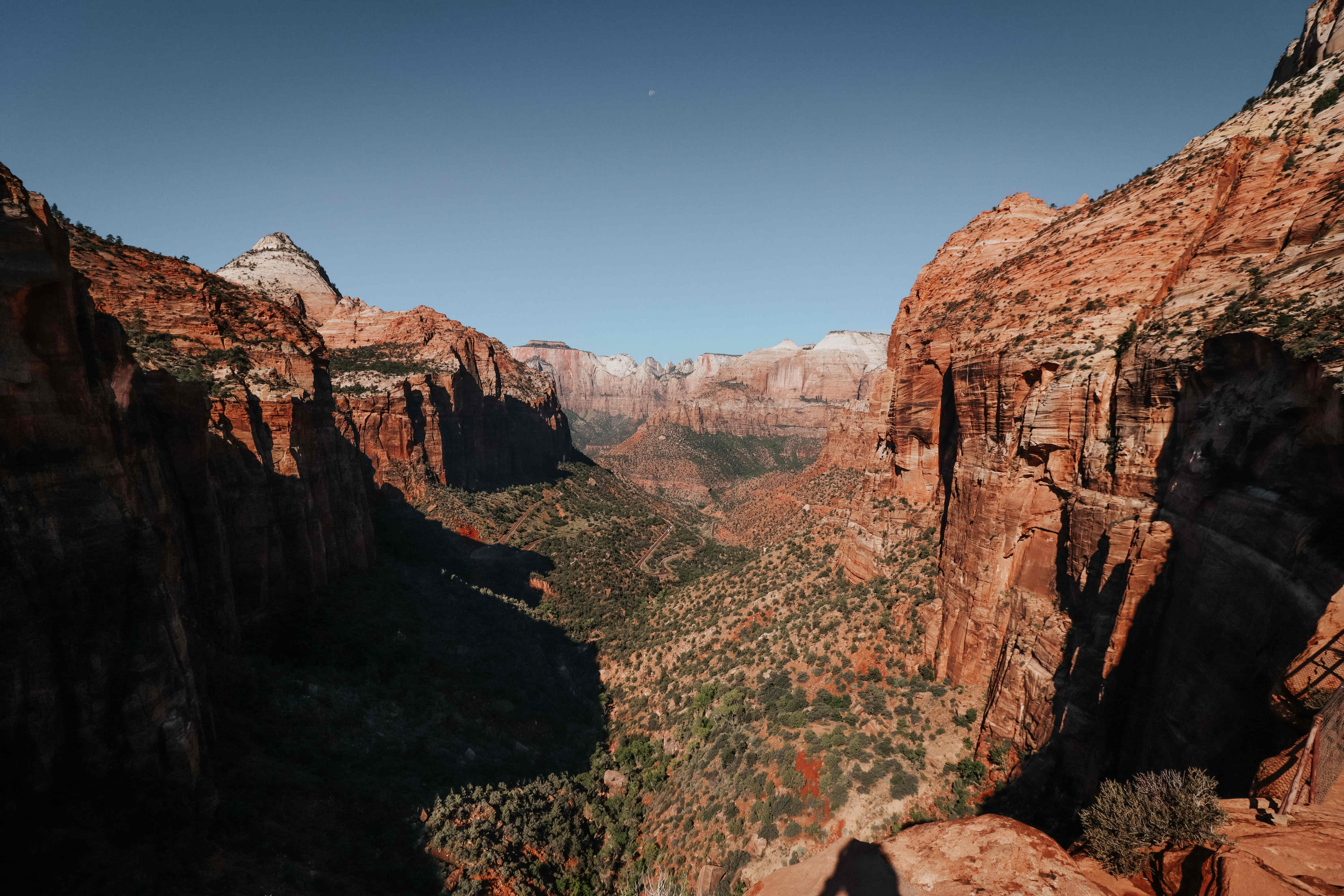 Hike Observation Point