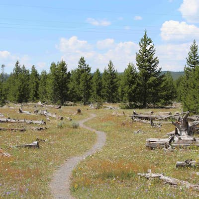 Sentinel Meadows to Fairy Falls and Imperial Geyser