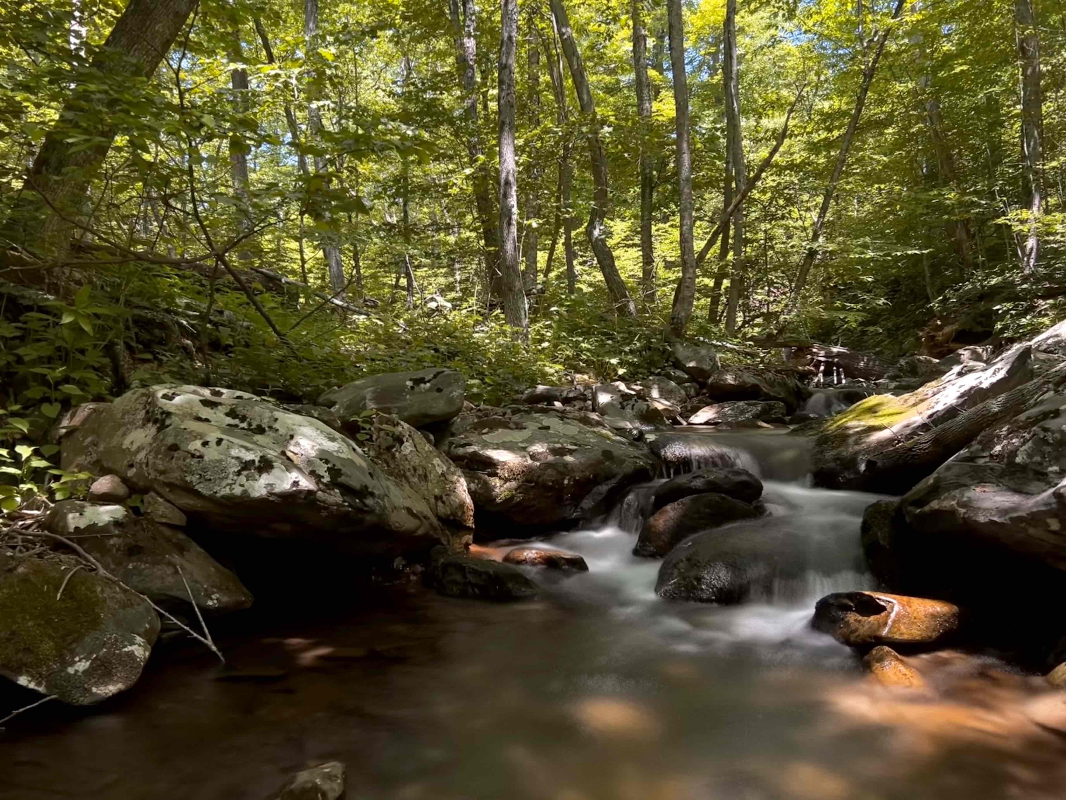 Hike to the Summit of Mt. Robertson in Shenandoah NP