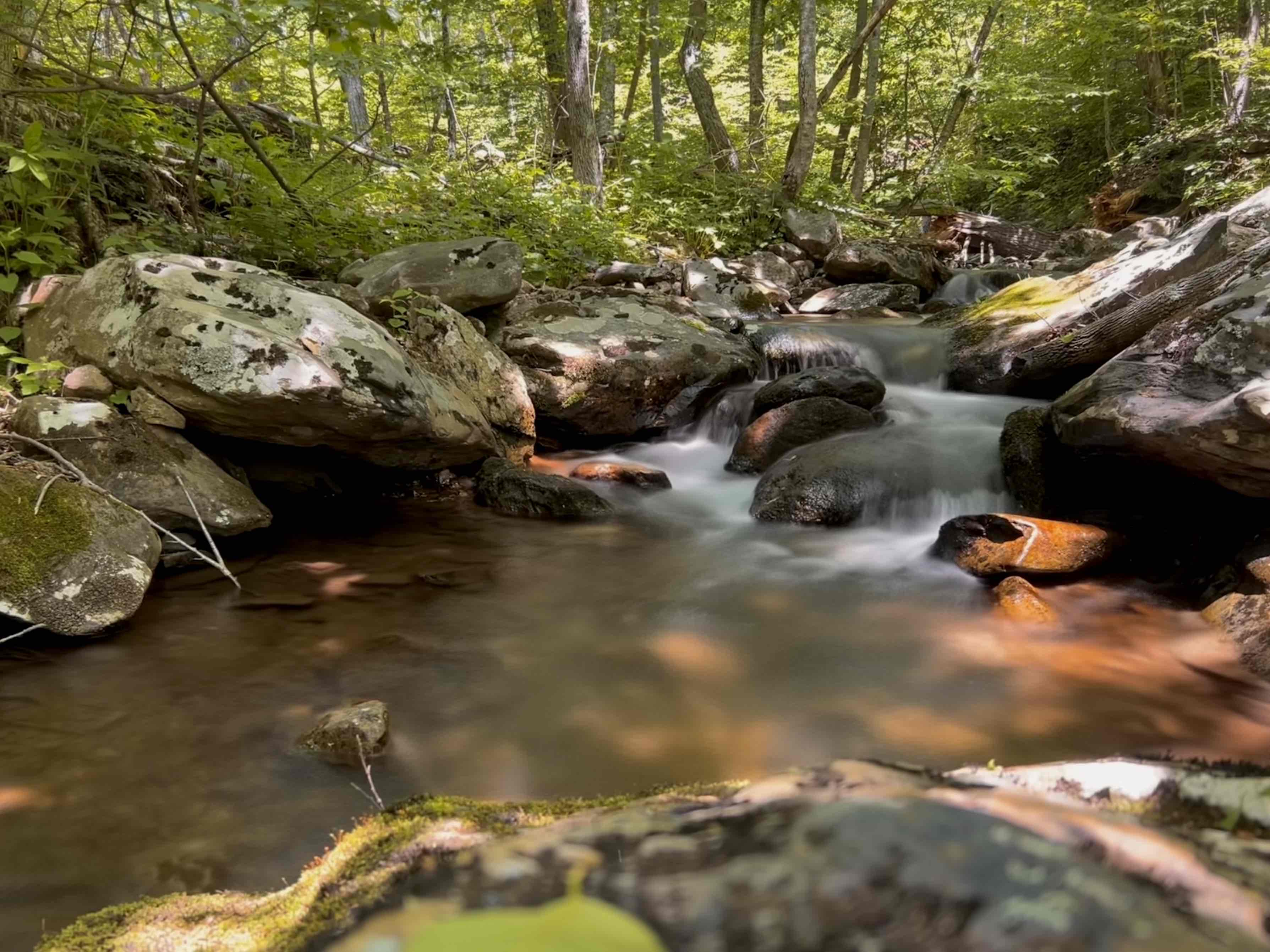 Hike to the Summit of Mt. Robertson in Shenandoah NP