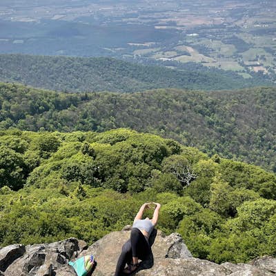 Hike to the Summit of Mt. Robertson in Shenandoah NP