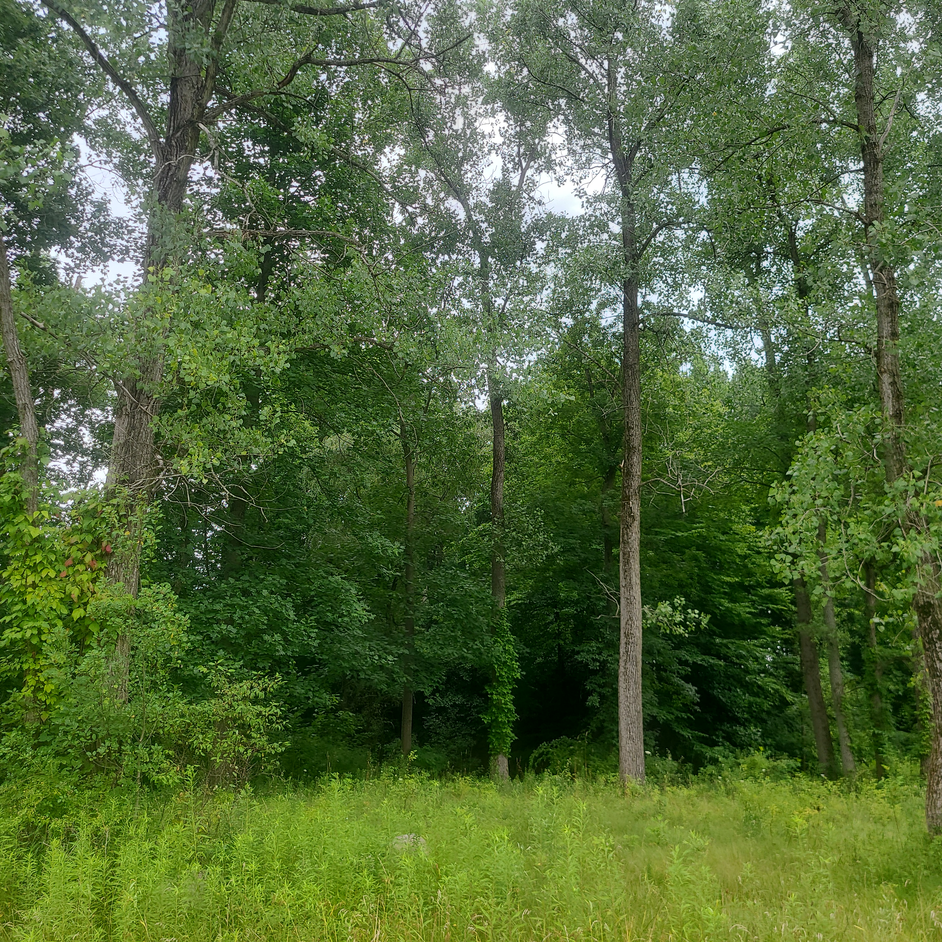 Indian Hollow Reservation