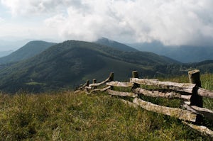 Hemphill Bald