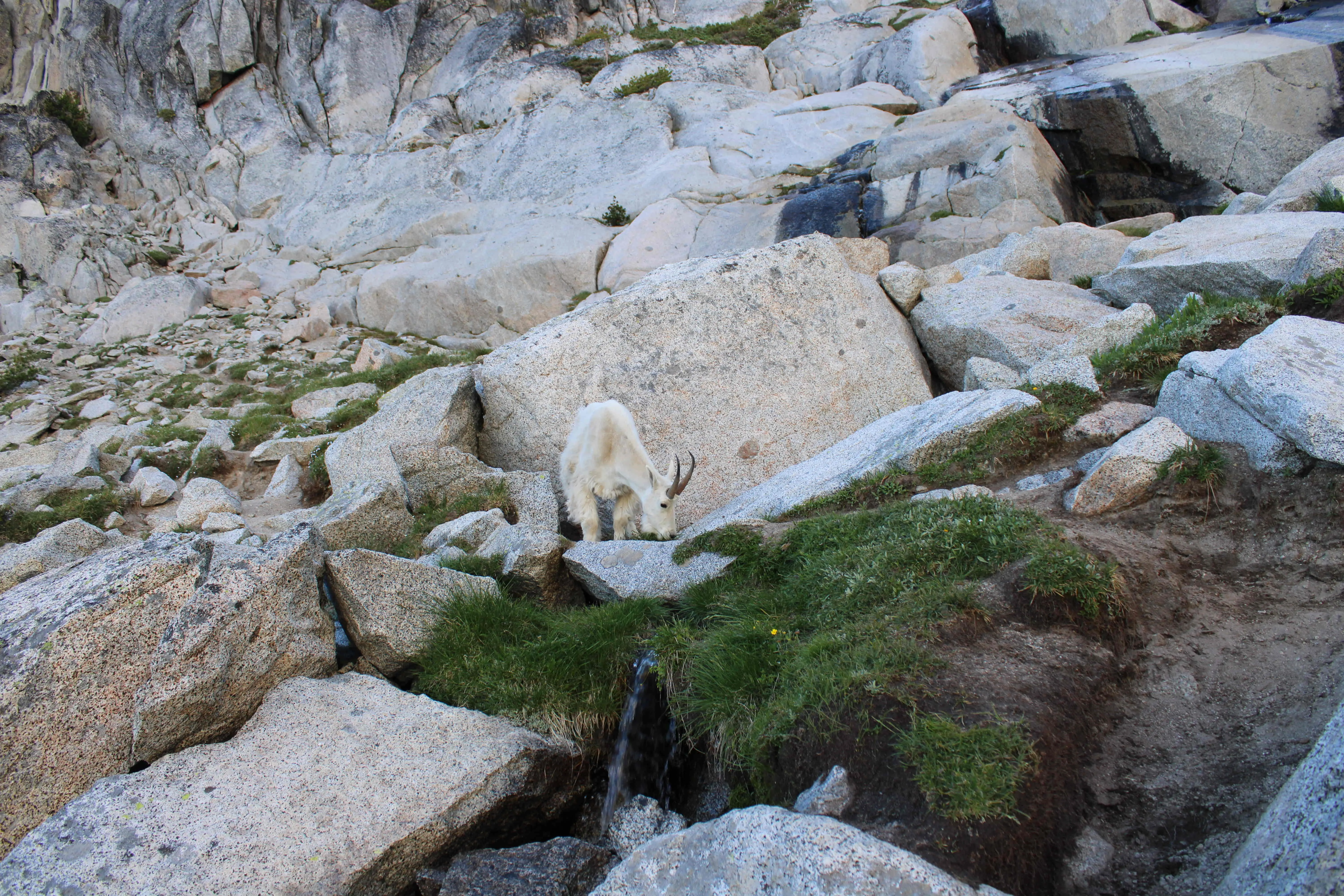Day Hike the Enchantments