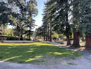 Ives Park