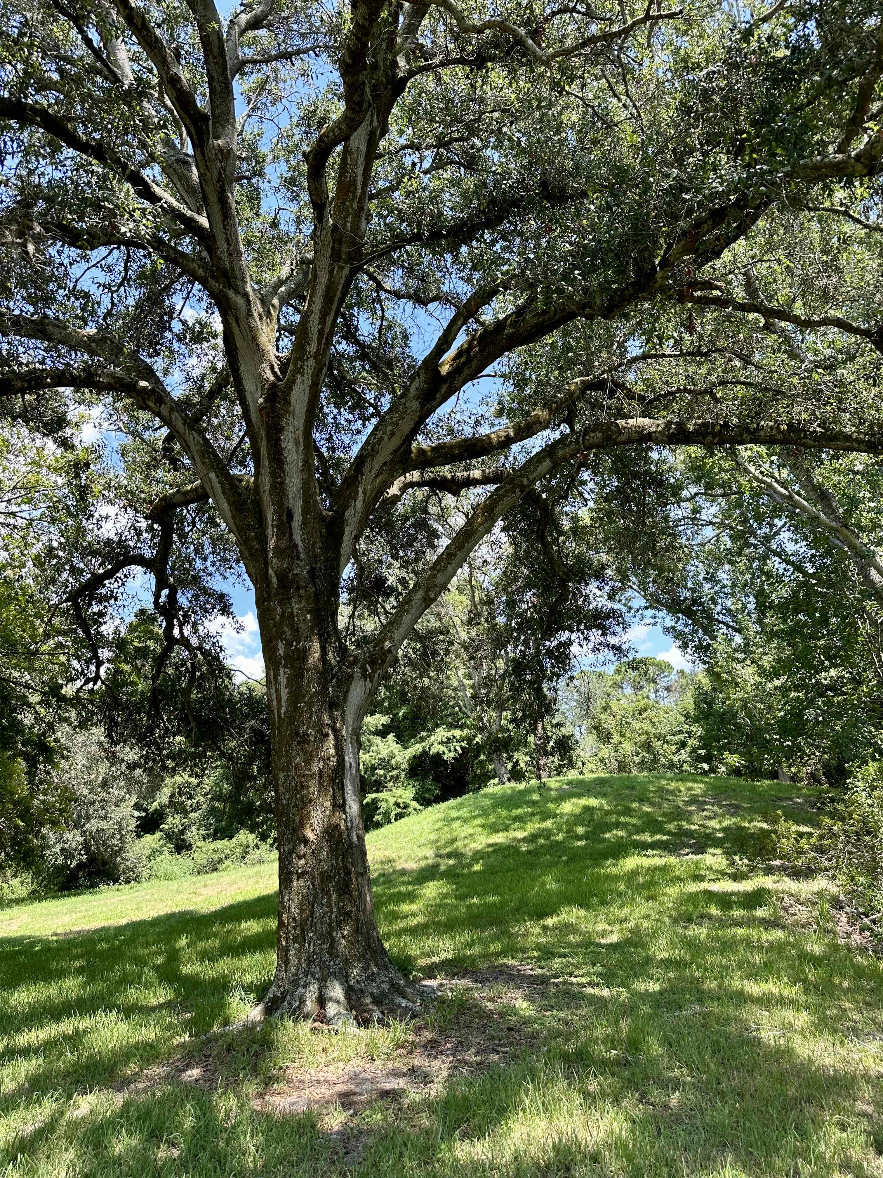 Sawgrass Lake Park Trail