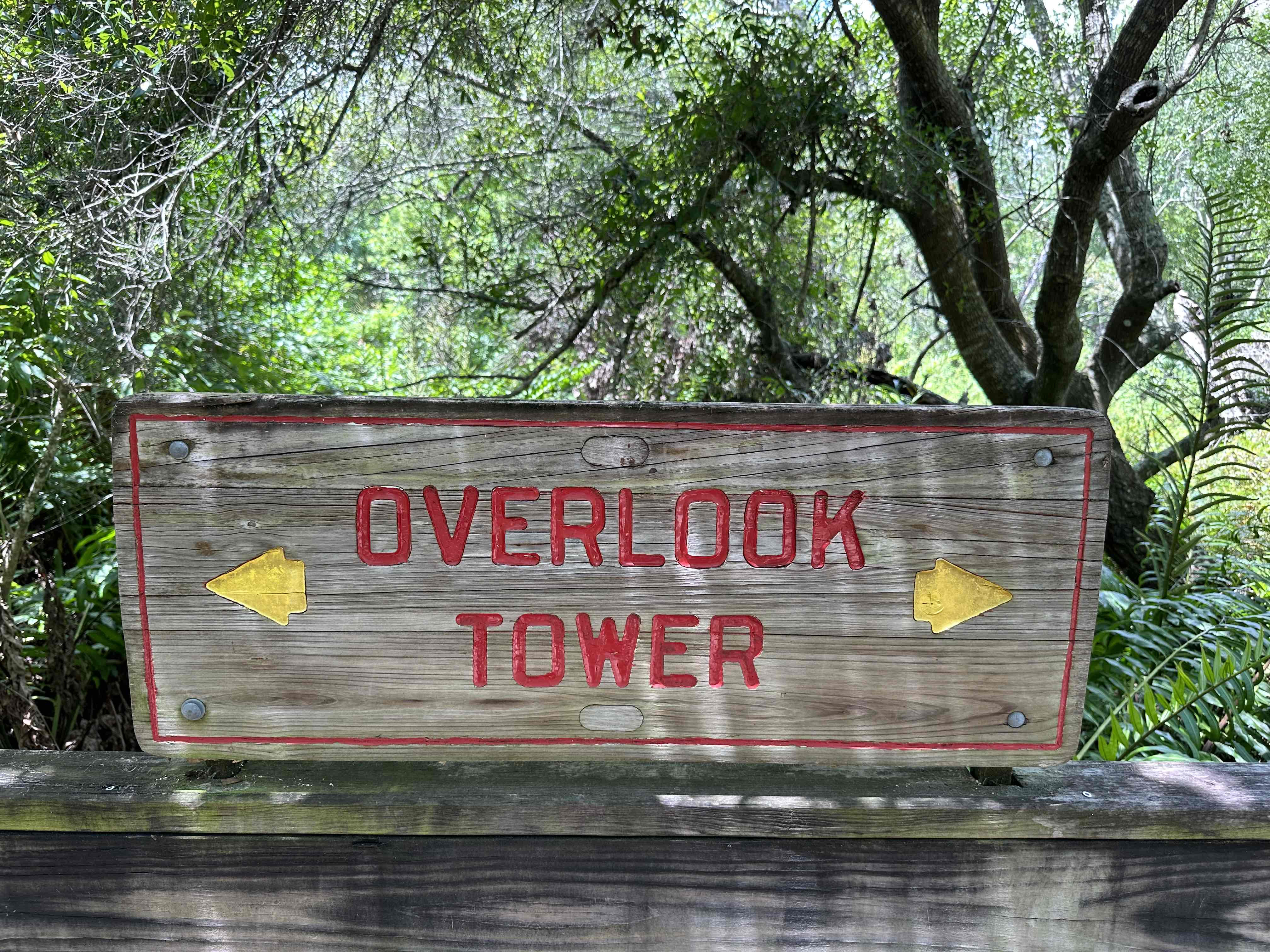 Sawgrass Lake Park Trail