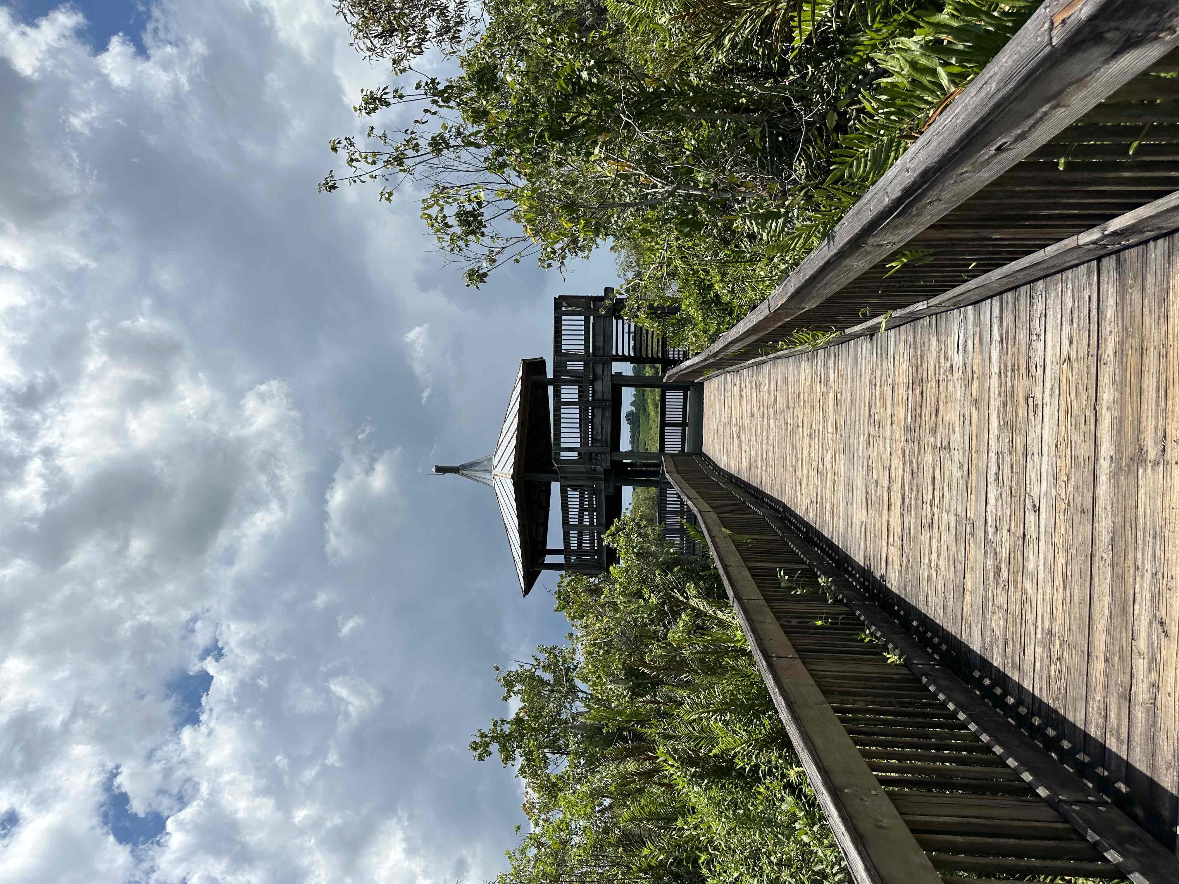 Sawgrass Lake Park Trail