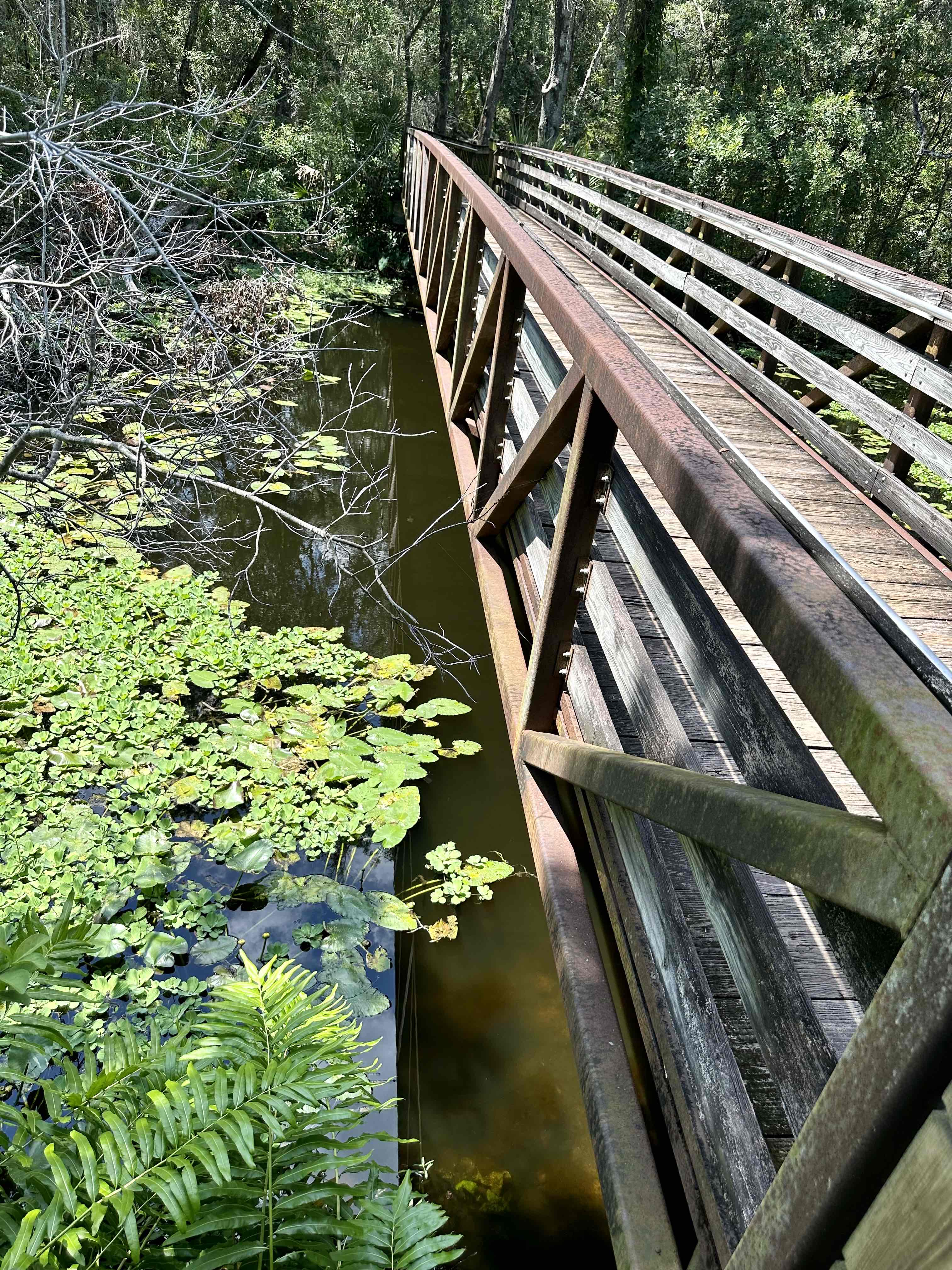 Sawgrass Lake Park Trail