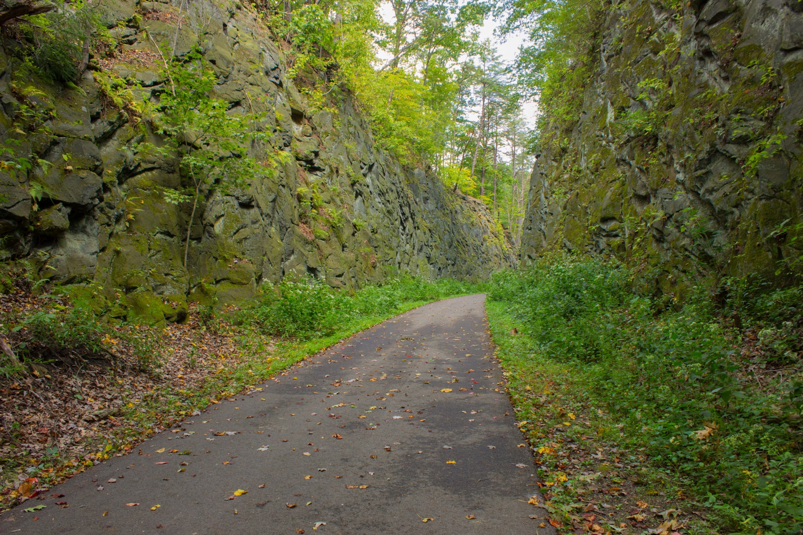 Blackhand Trail