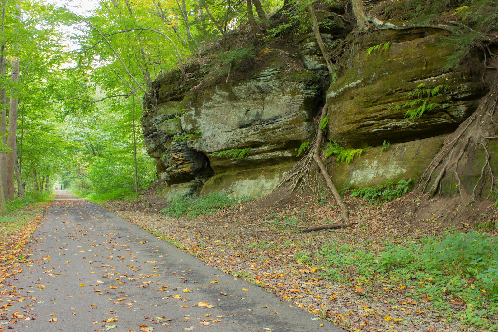 Blackhand Trail