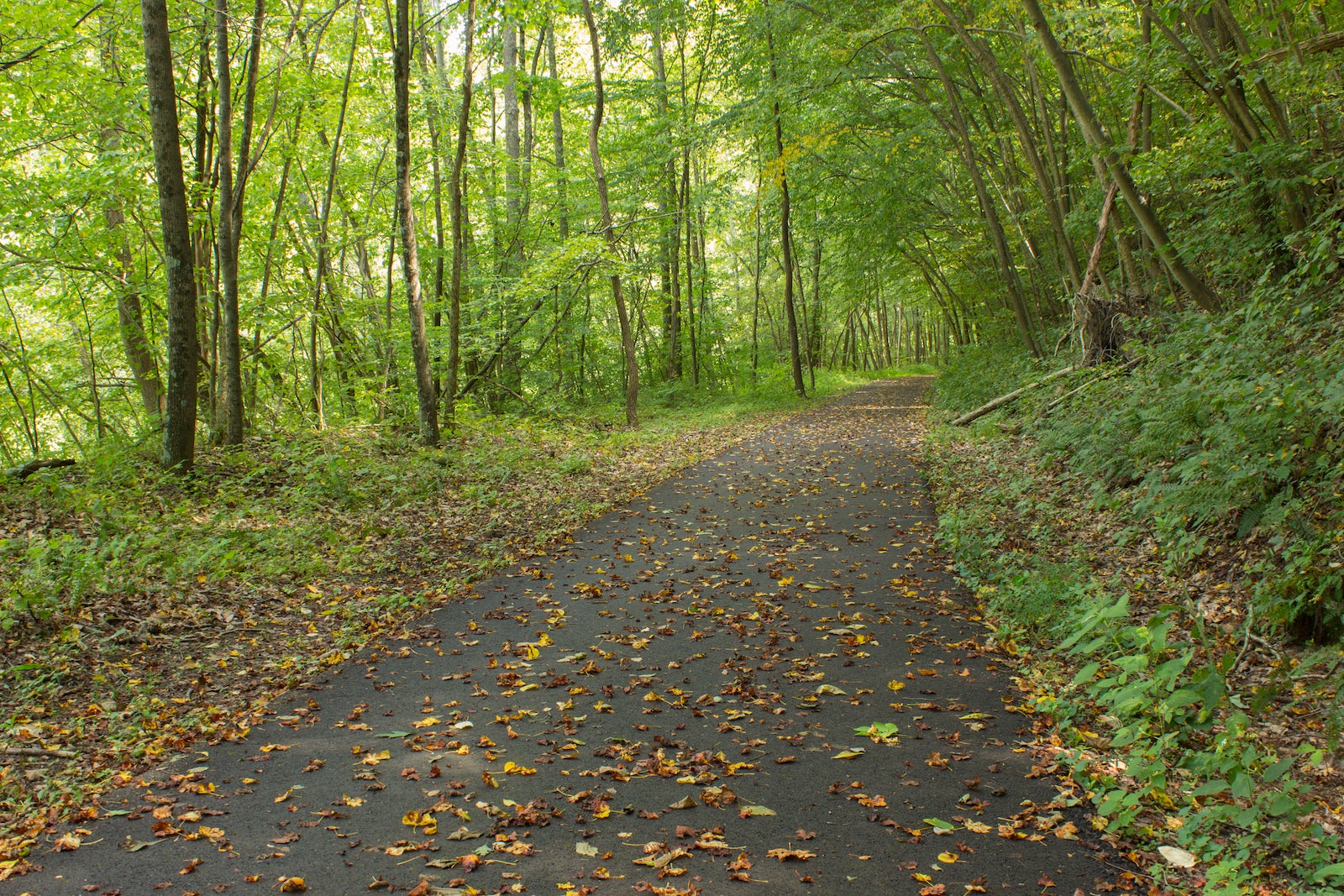 Blackhand Trail