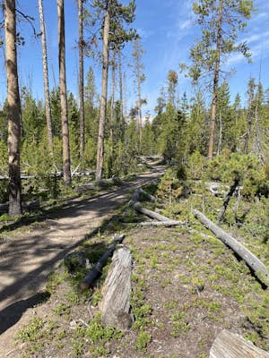 Hell Roaring Creek Trail to Hell Roaring Lake