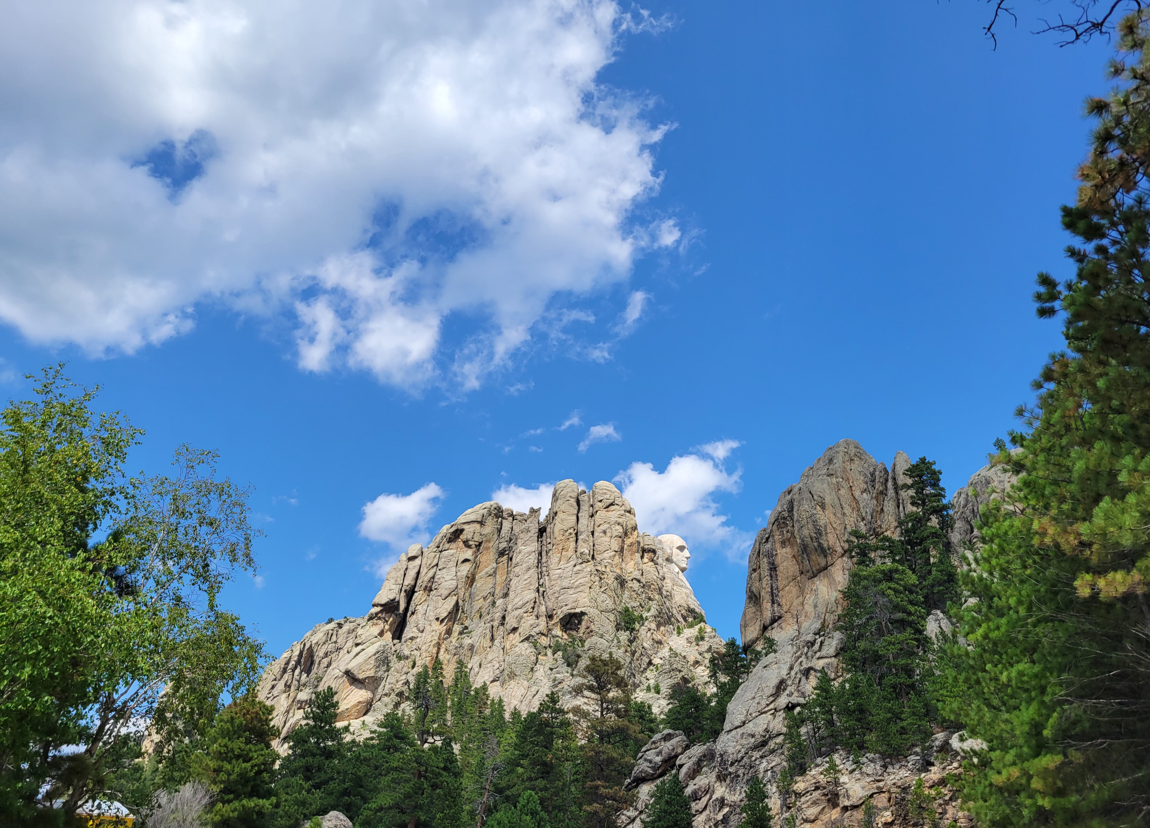 Mt. Rushmore Profile View