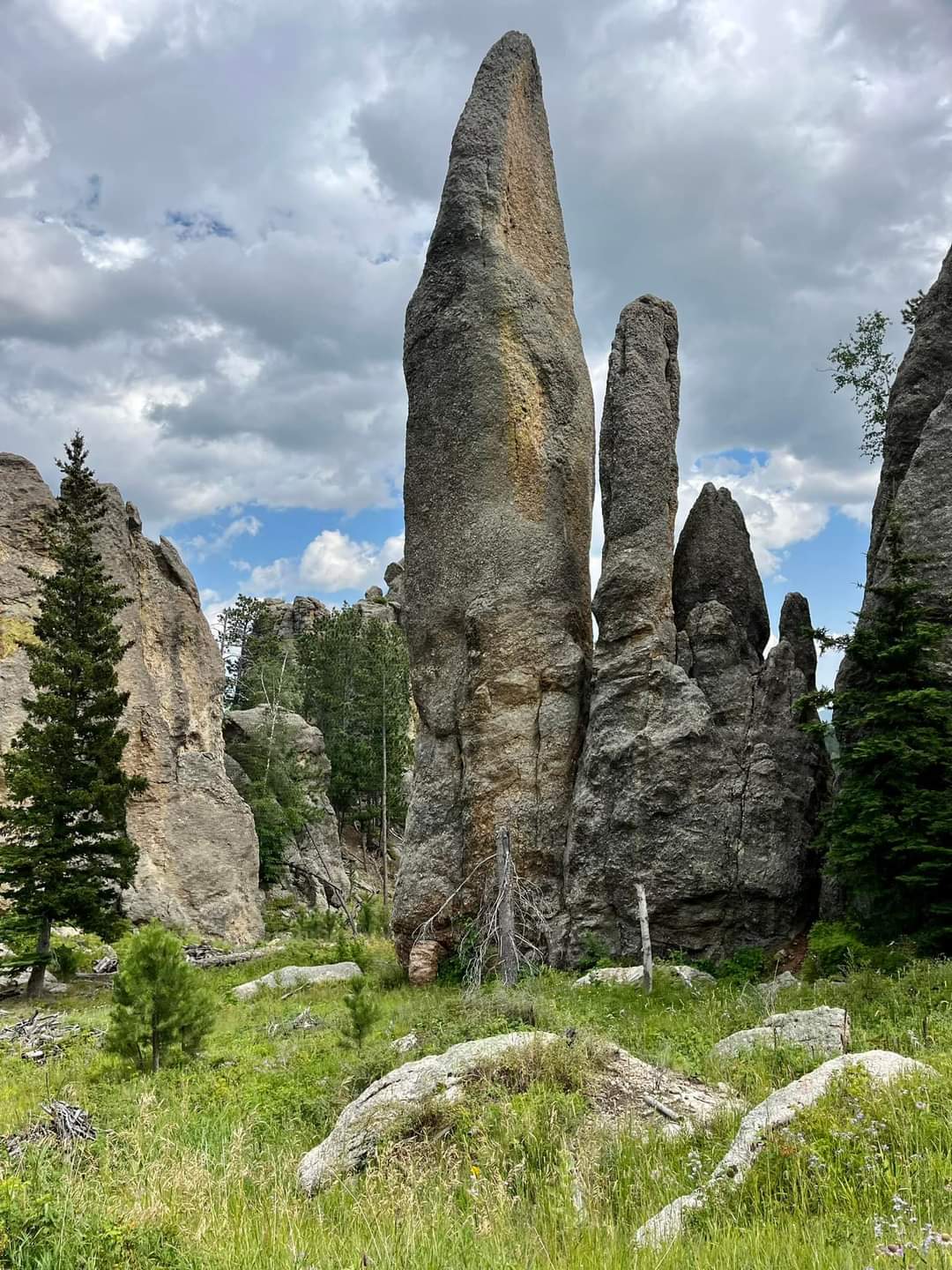 Drive Needles Highway in Custer State Park