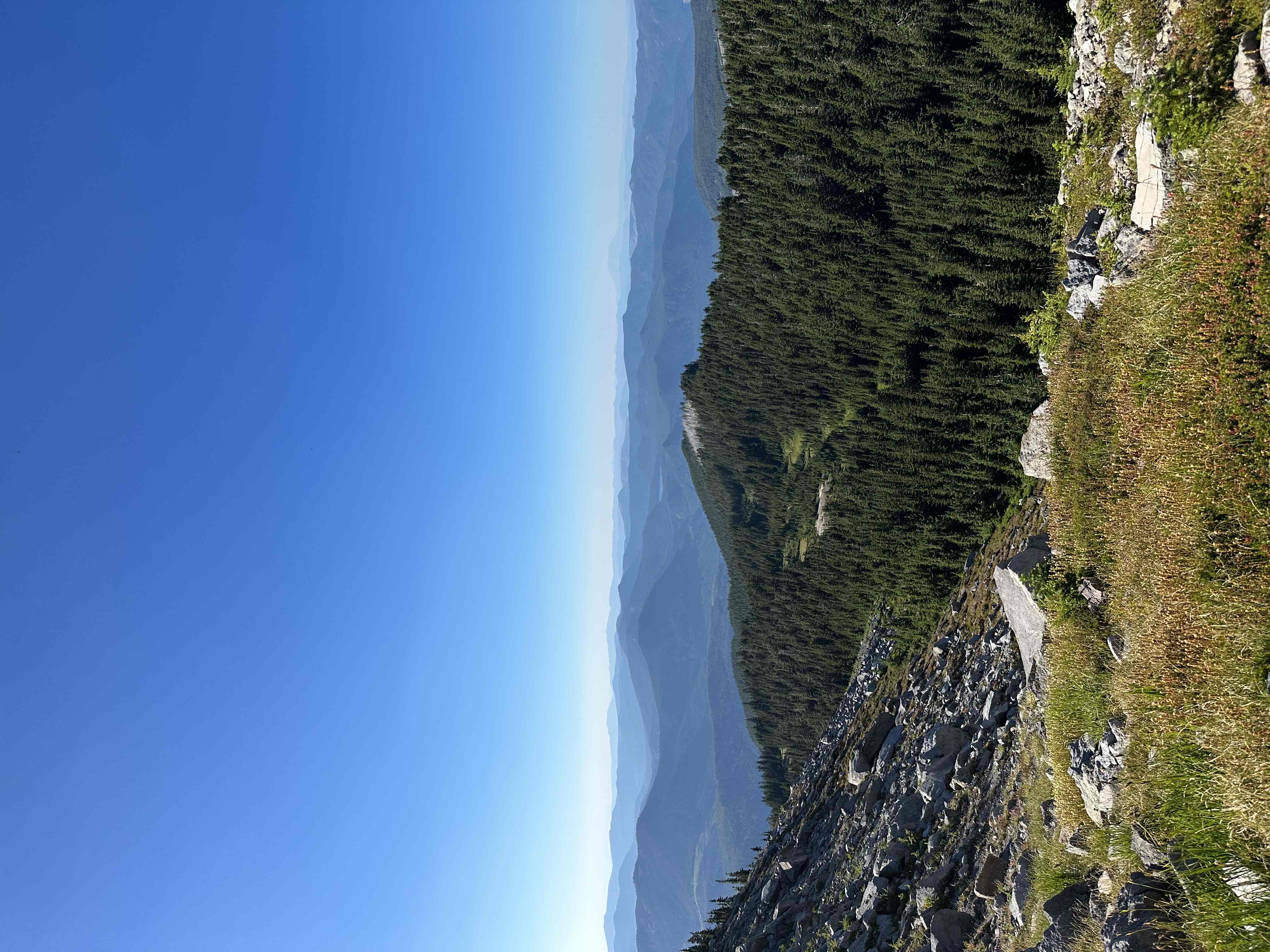 McNeil Point via Top Spur Trailhead