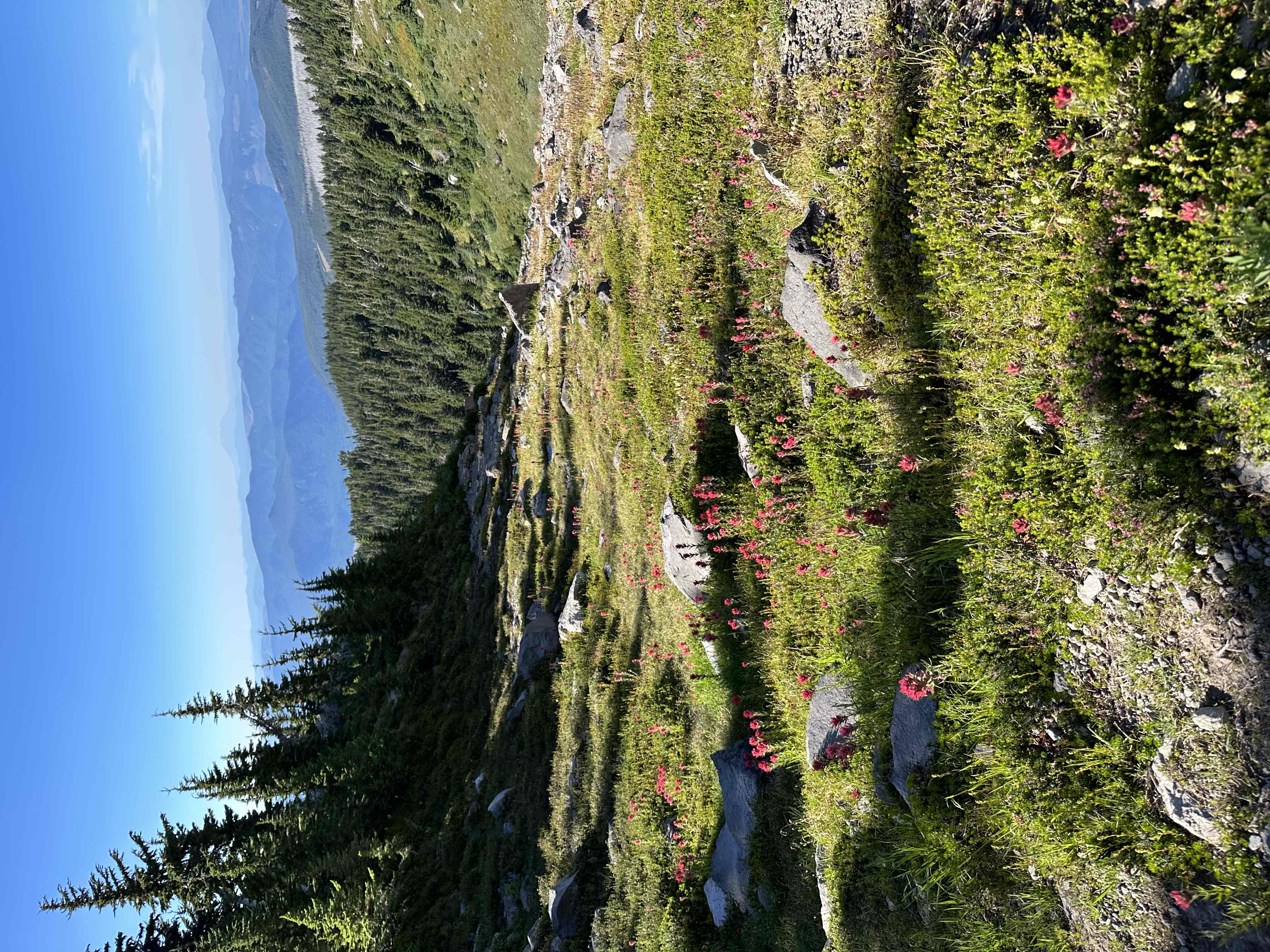 McNeil Point via Top Spur Trailhead
