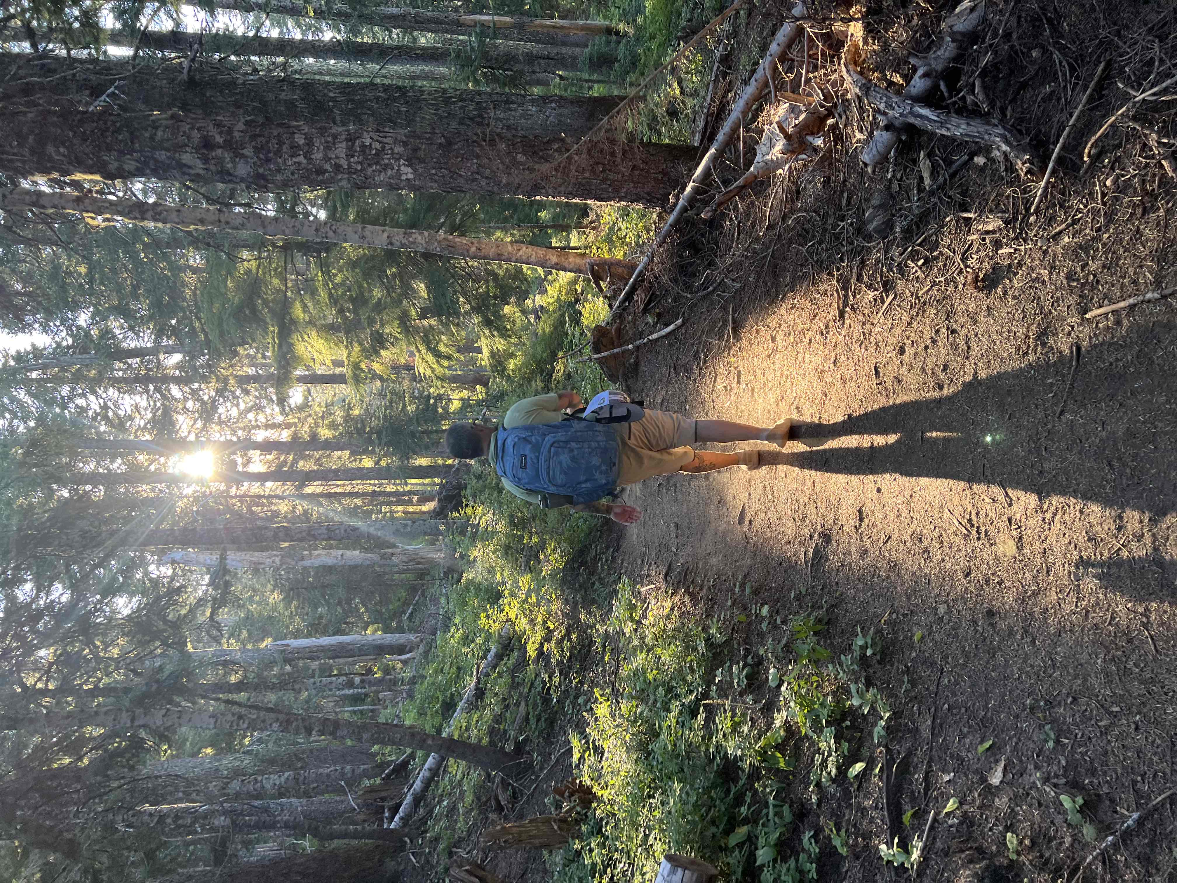 McNeil Point via Top Spur Trailhead