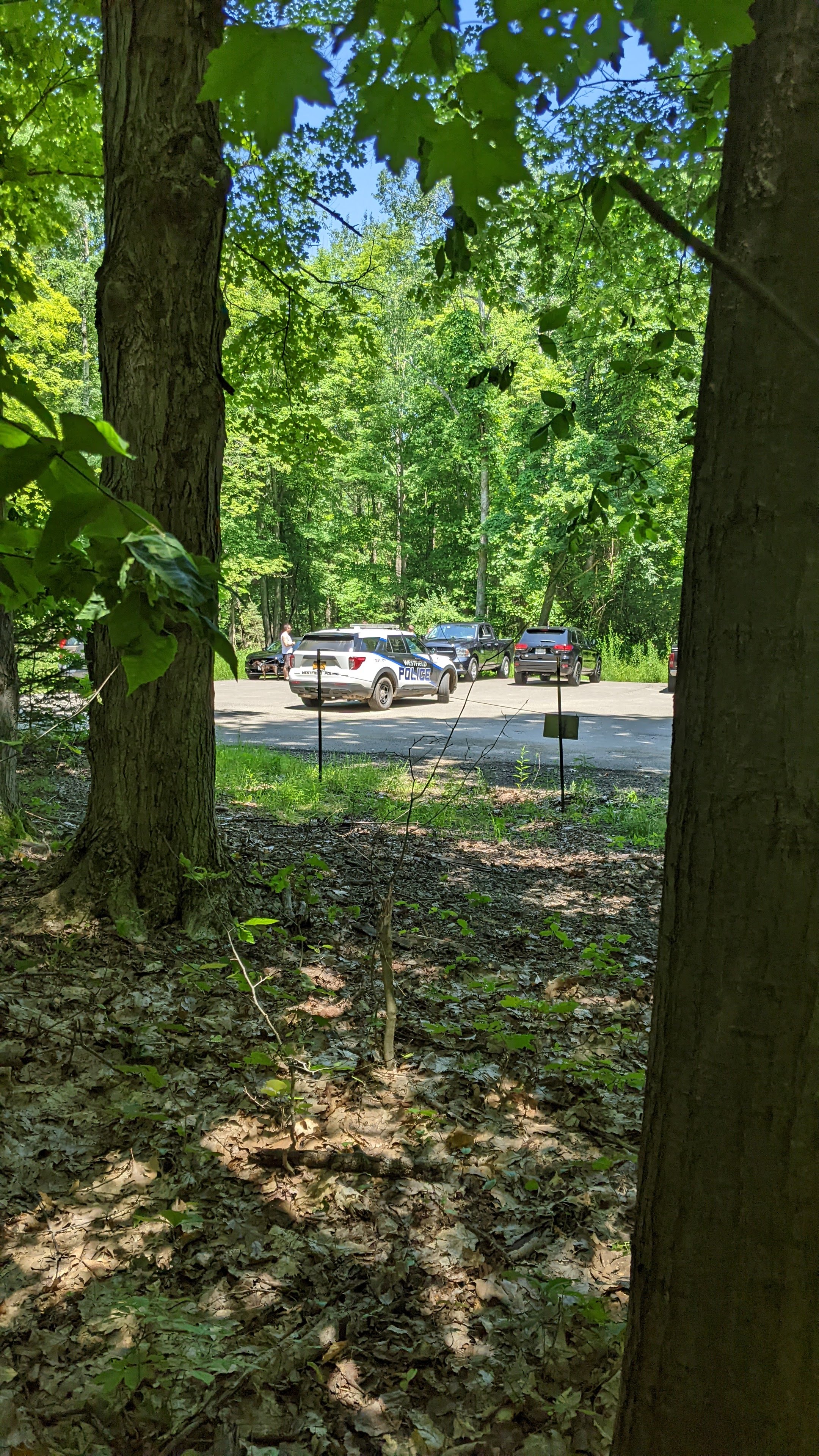 Skinny Dip Falls Trail