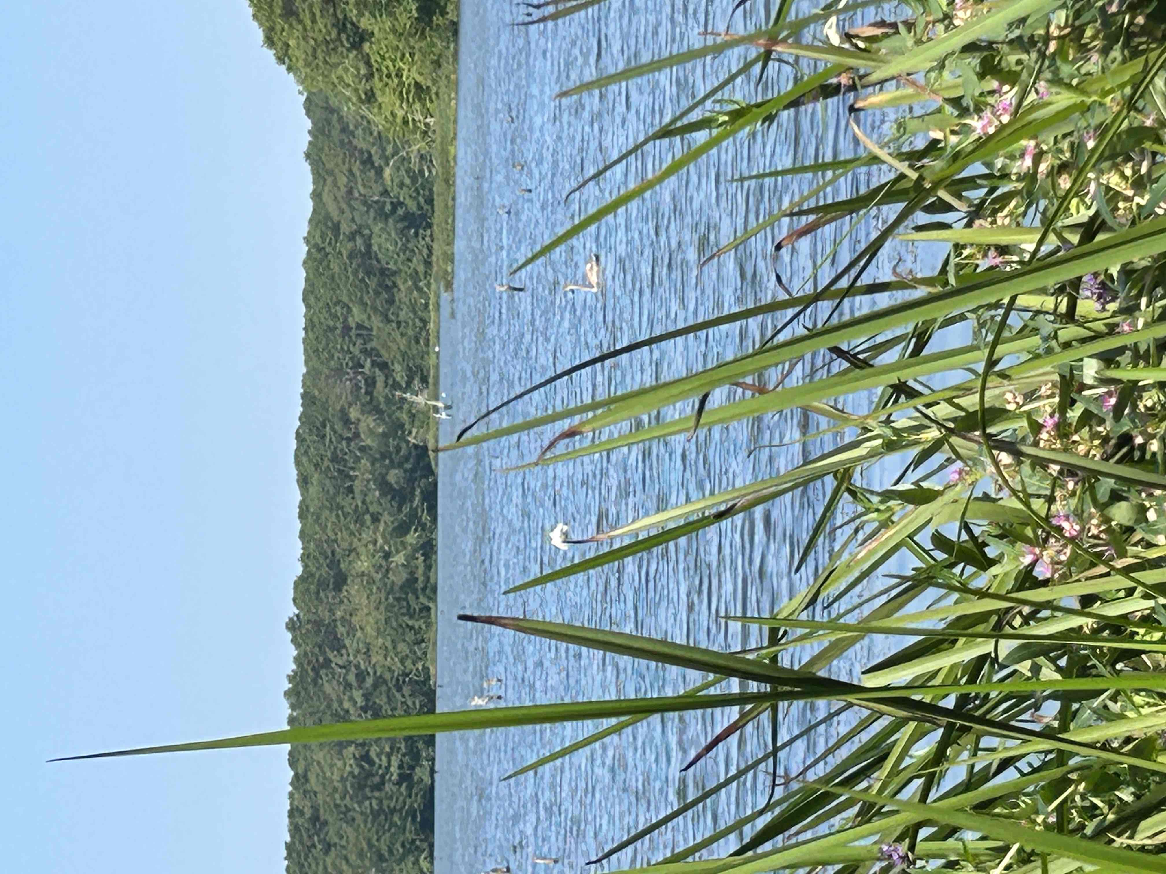 West Reservoir