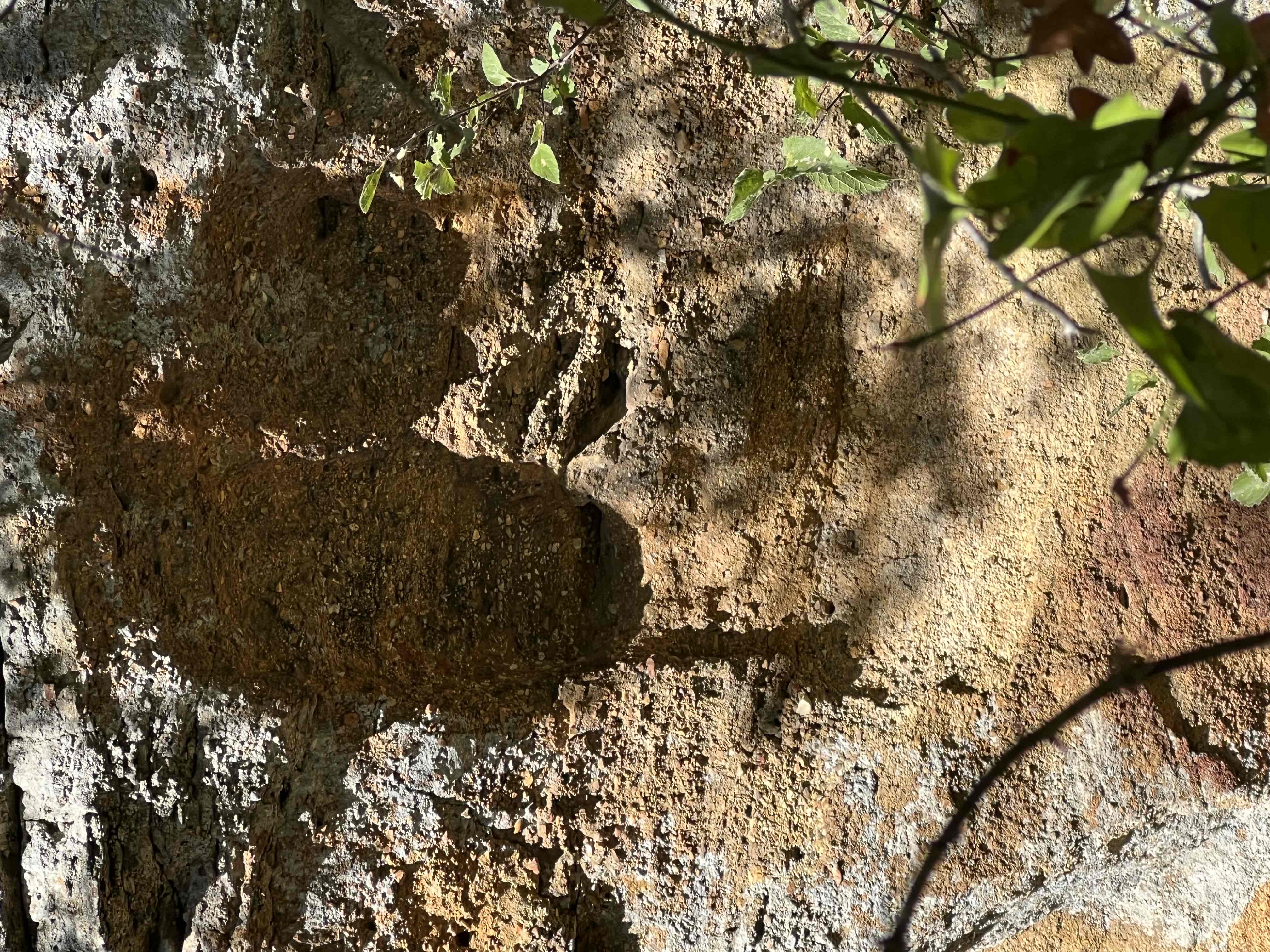 Penitentiary Hollow via Red Waterfront Trail