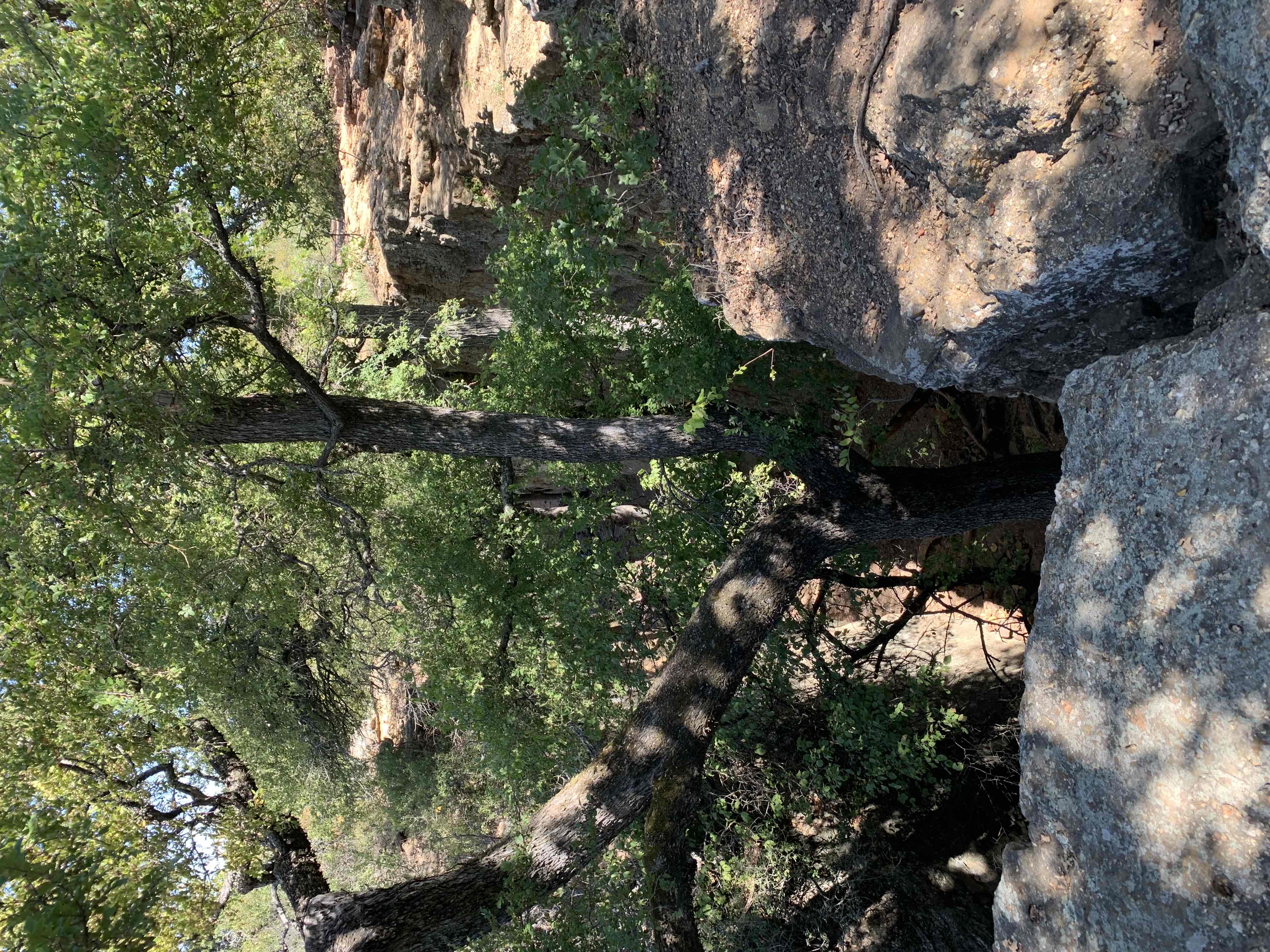 Penitentiary Hollow via Red Waterfront Trail