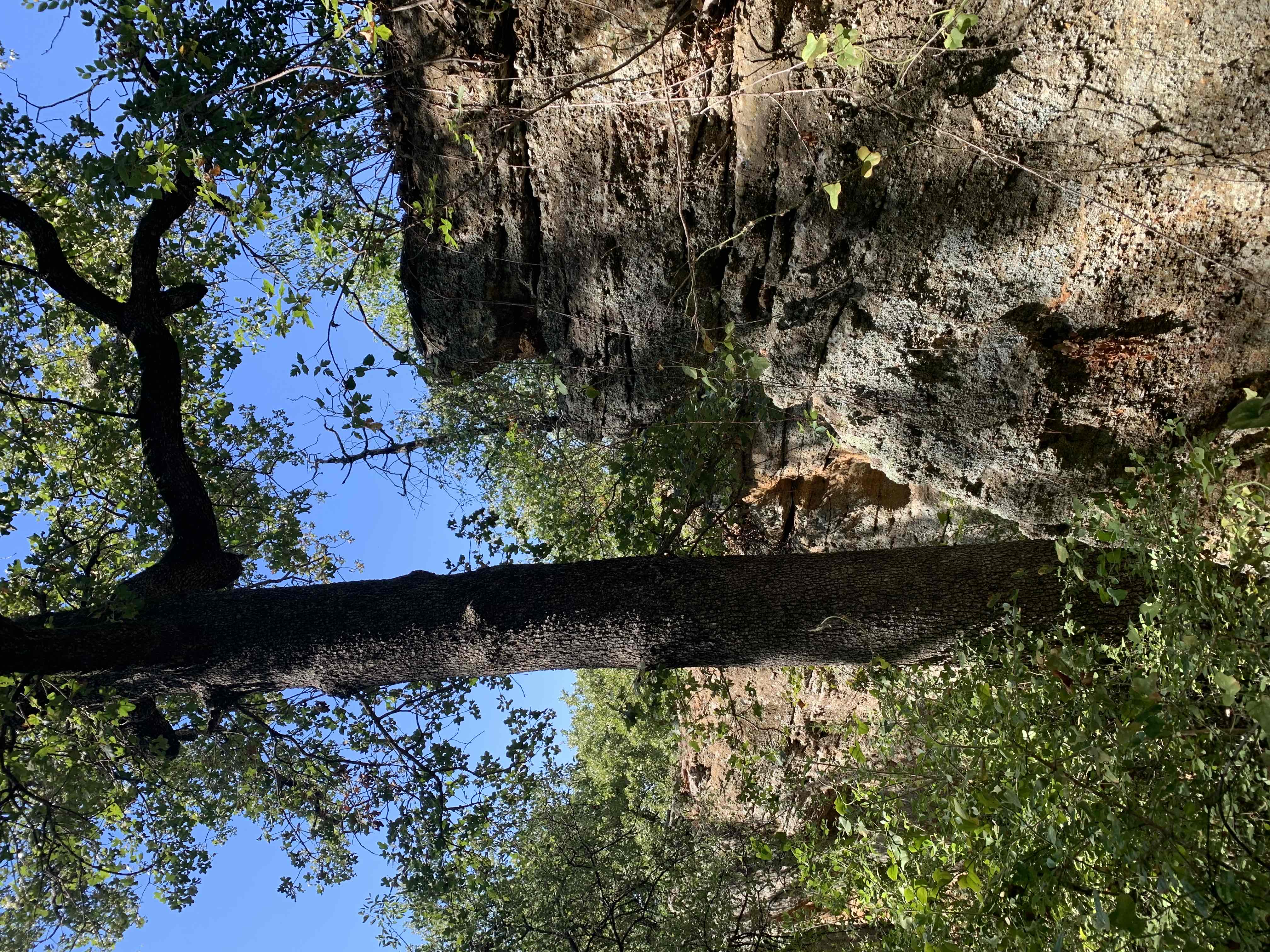 Penitentiary Hollow via Red Waterfront Trail