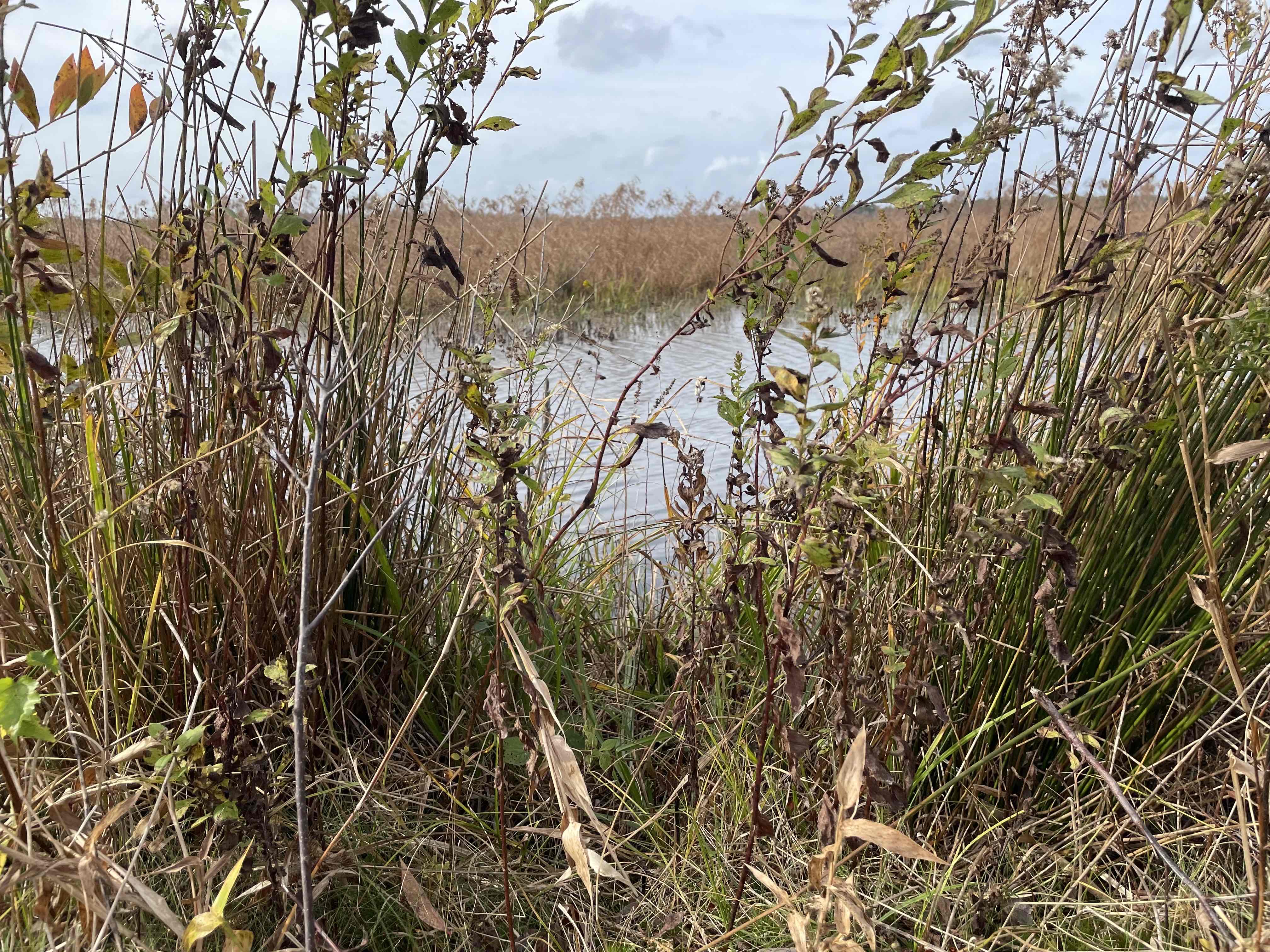 Burrage Pond Indian Trail