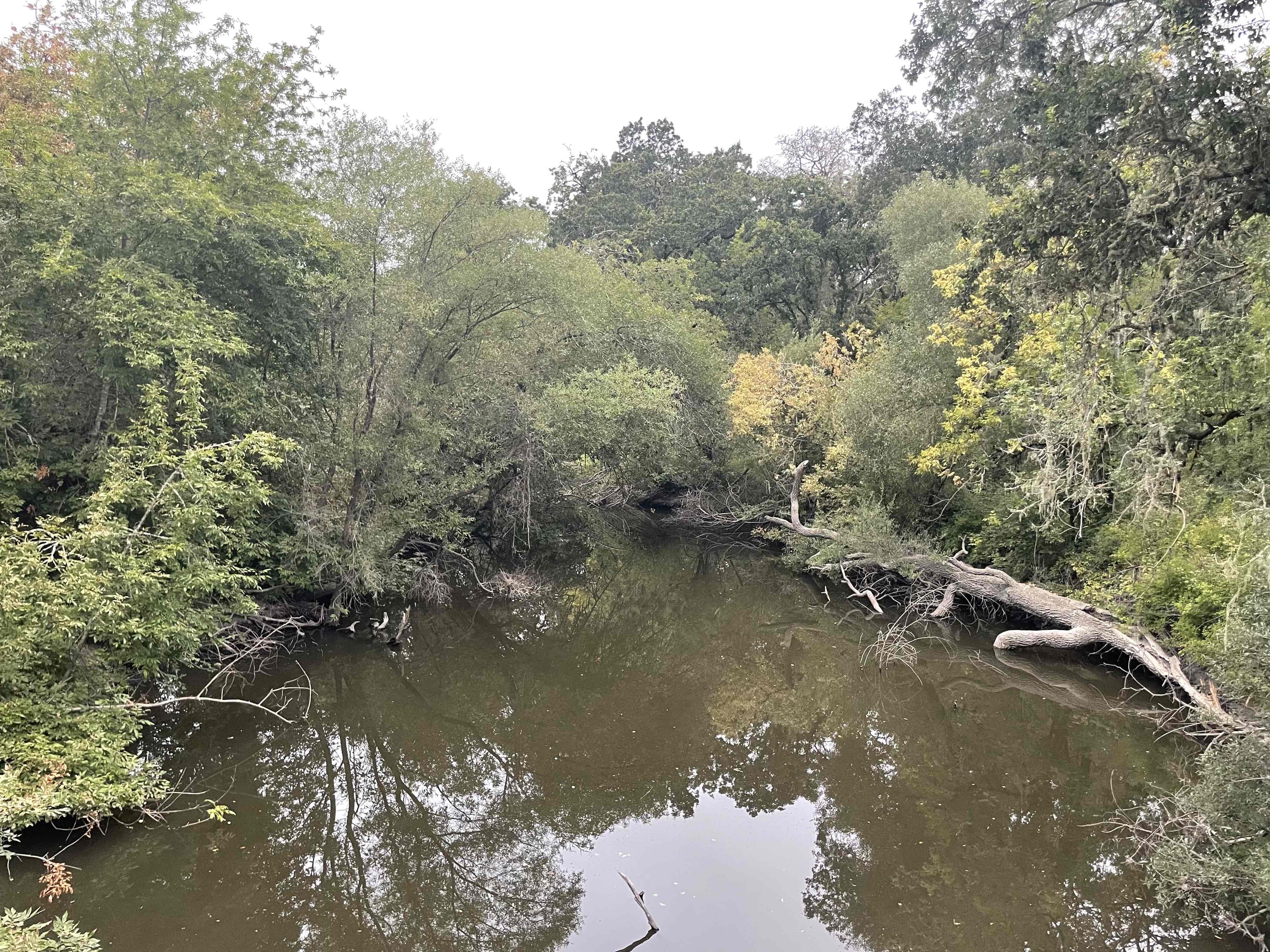 Joe Rodota Trail