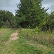 Ice Age Trail: Scuppernong
