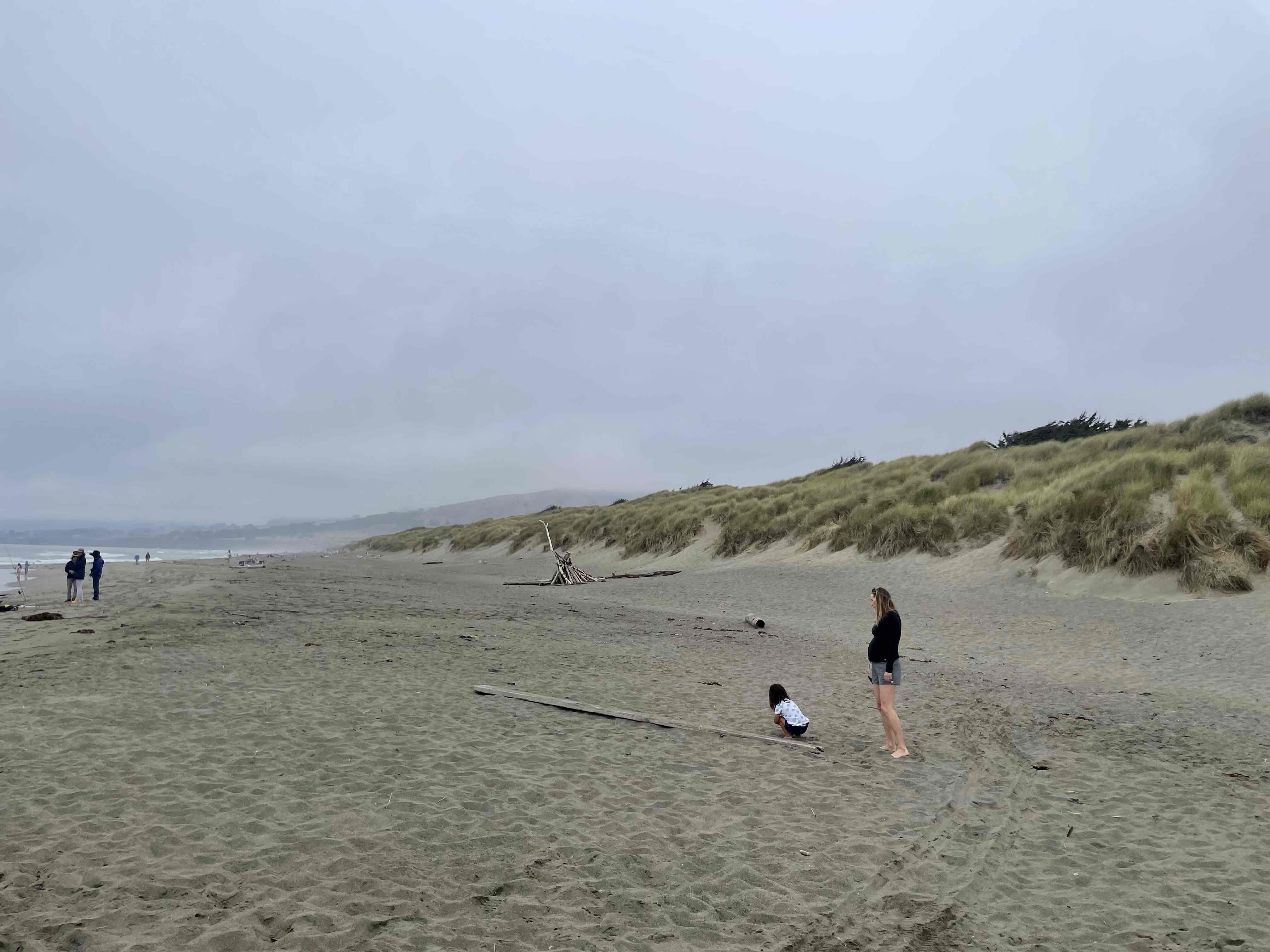 Bodega Dunes Beach