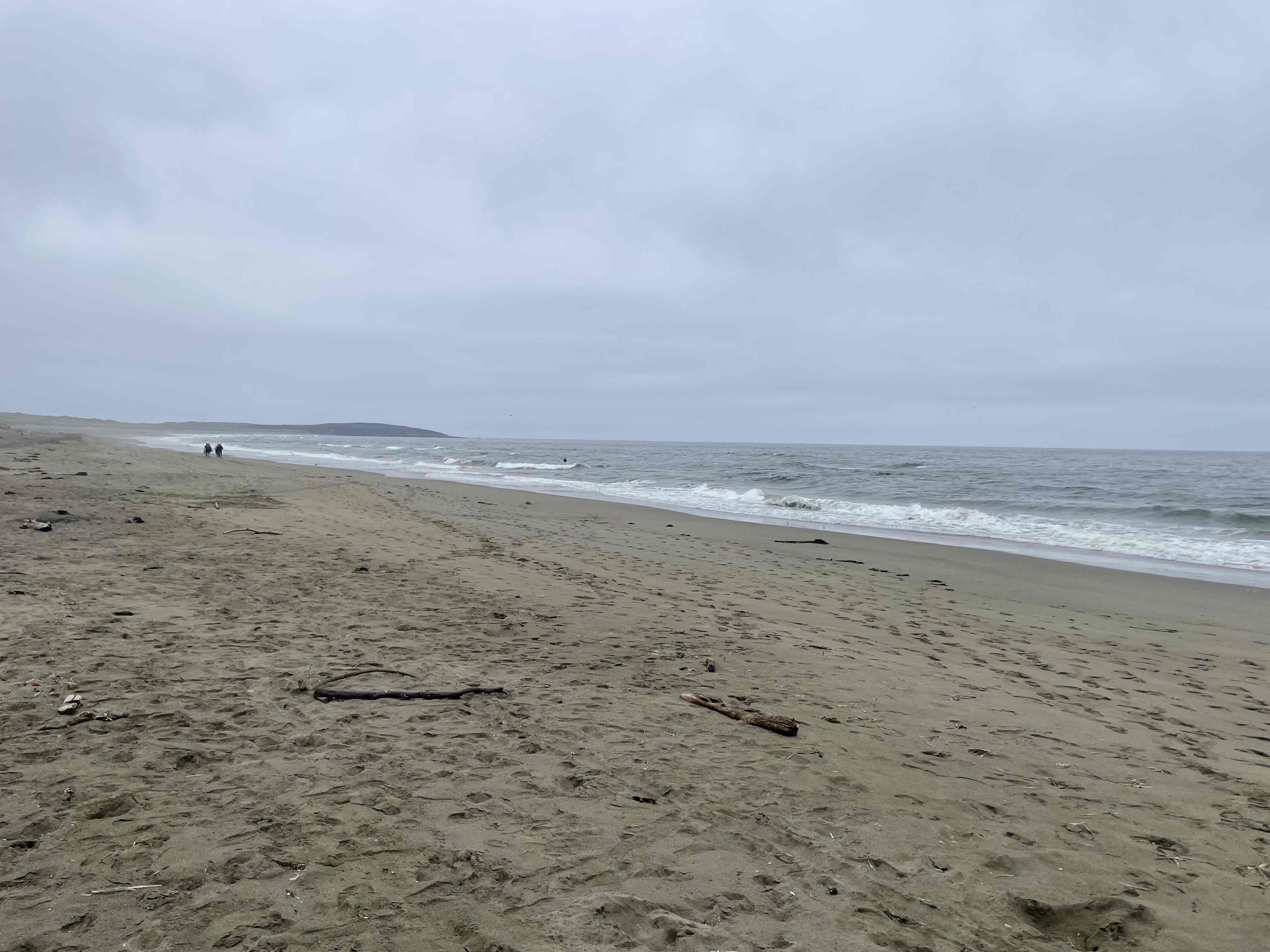 Bodega Dunes Beach