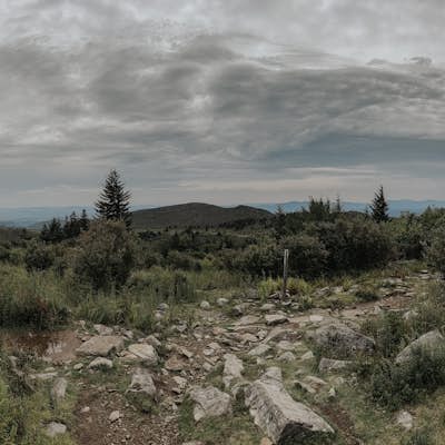 Mount Rogers via Appalachian Trail