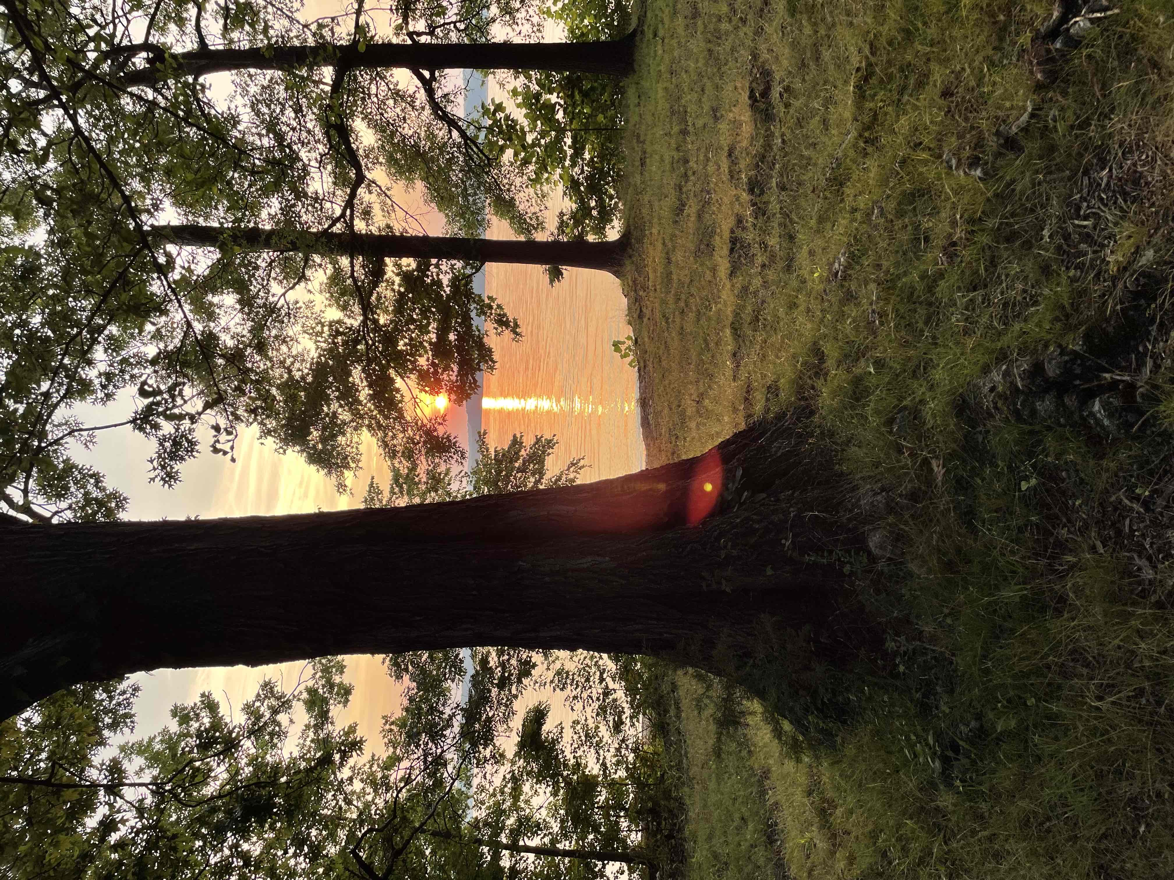 Piney Campground