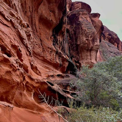Red Cliffs Recreation Nature Trail