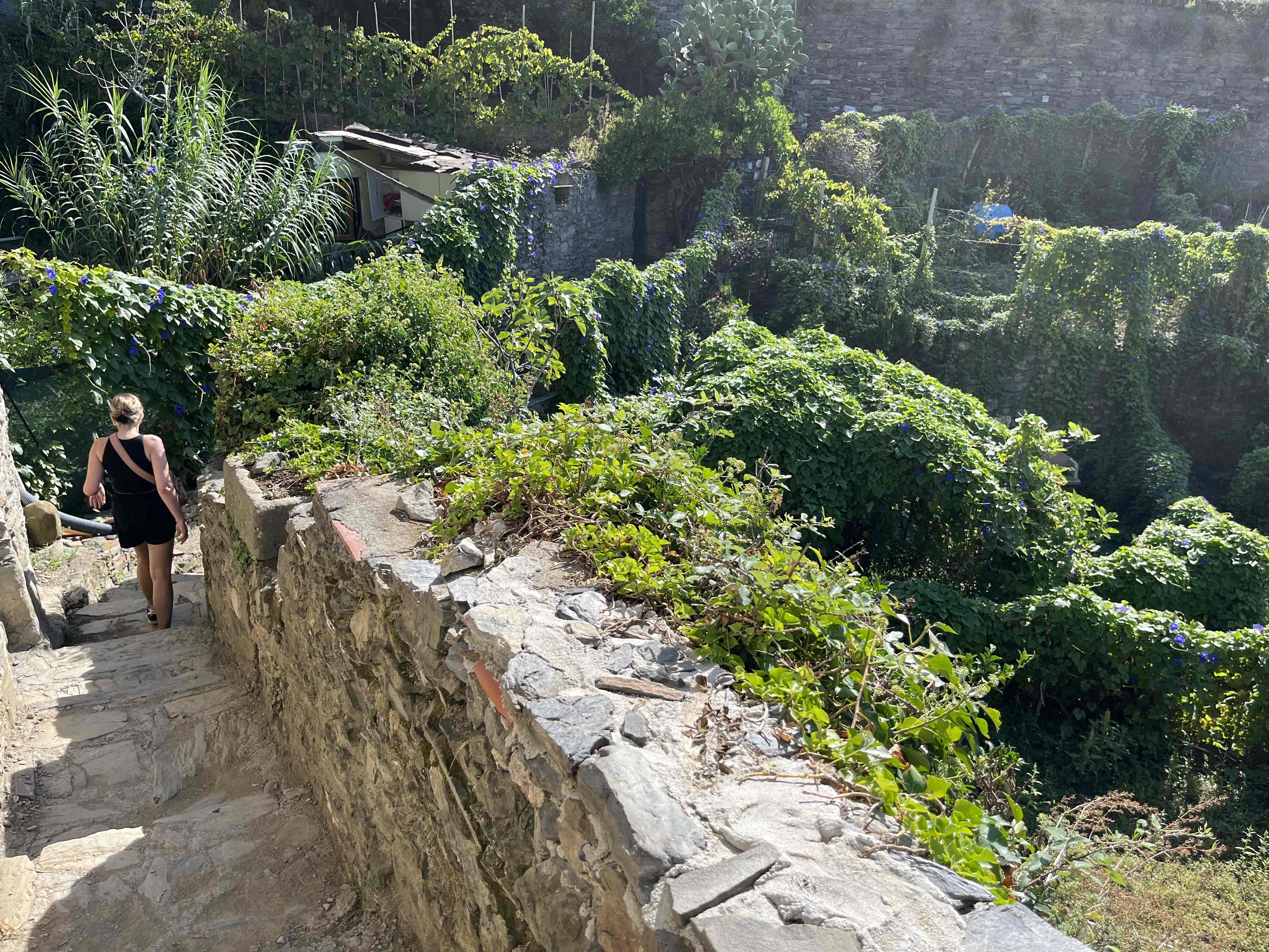 Hiking in Cinque Terre National Park