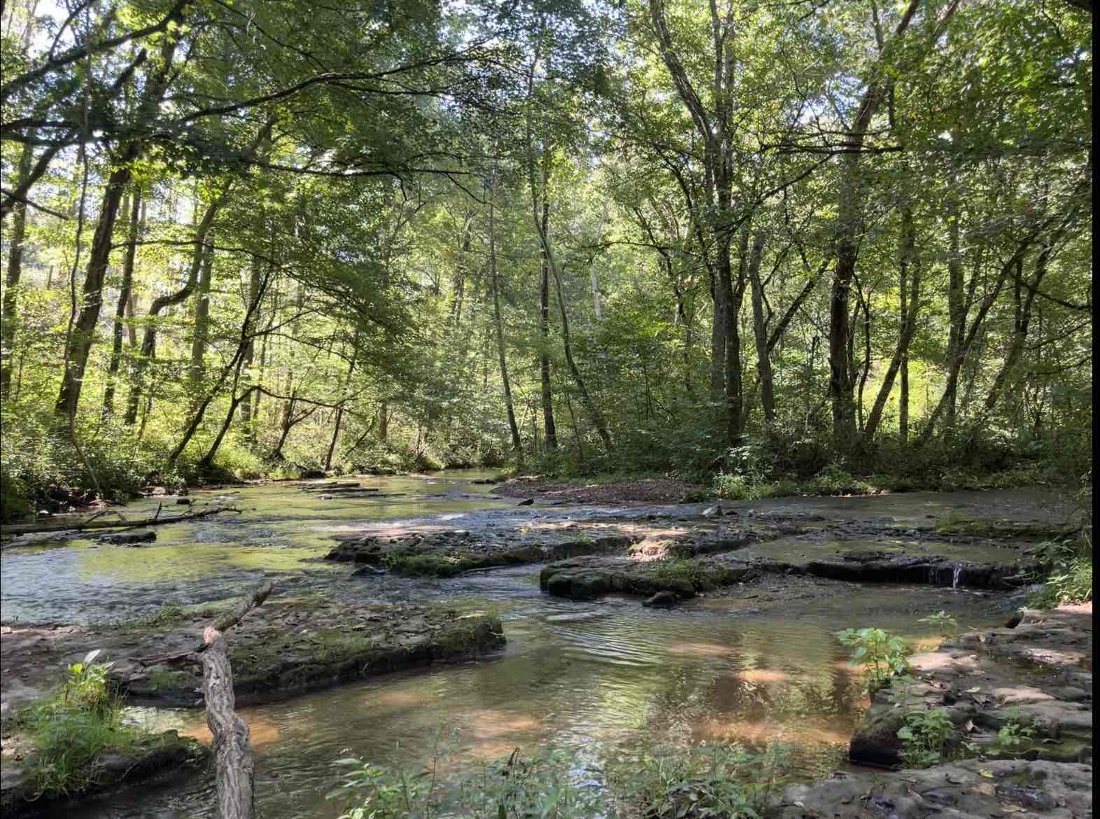 Buffalo Creek Falls