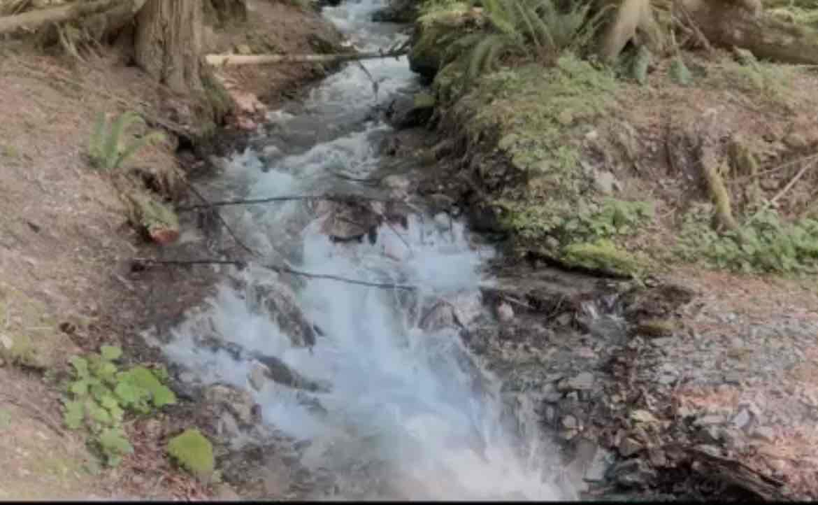 Explore Bridal Veil Falls in Chilliwack
