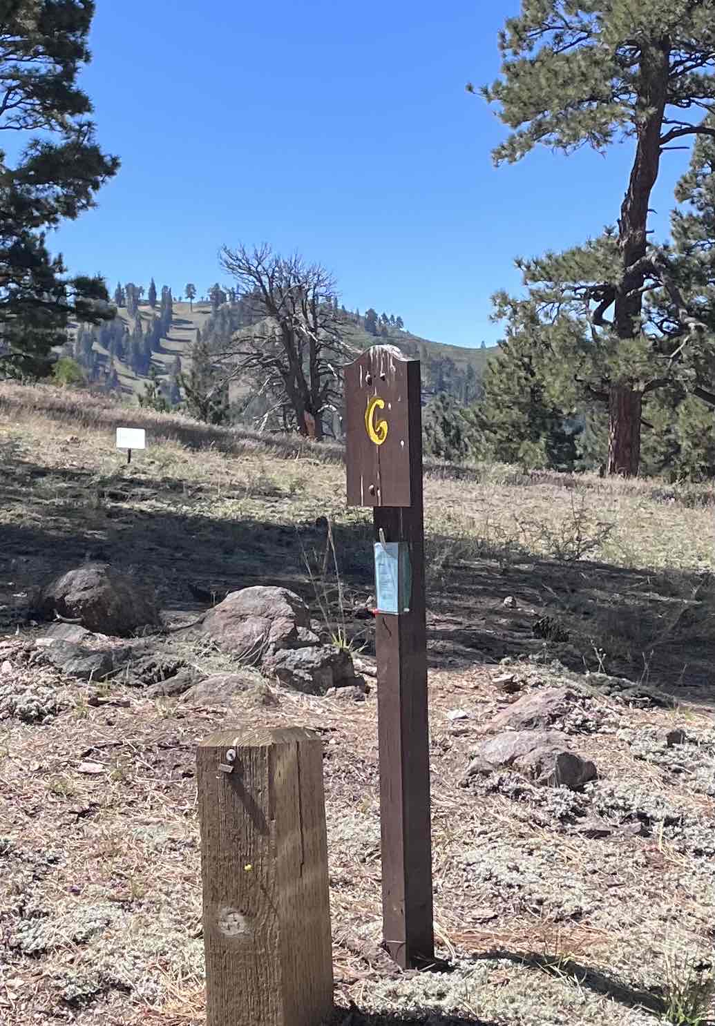 Table Mountain Campground 