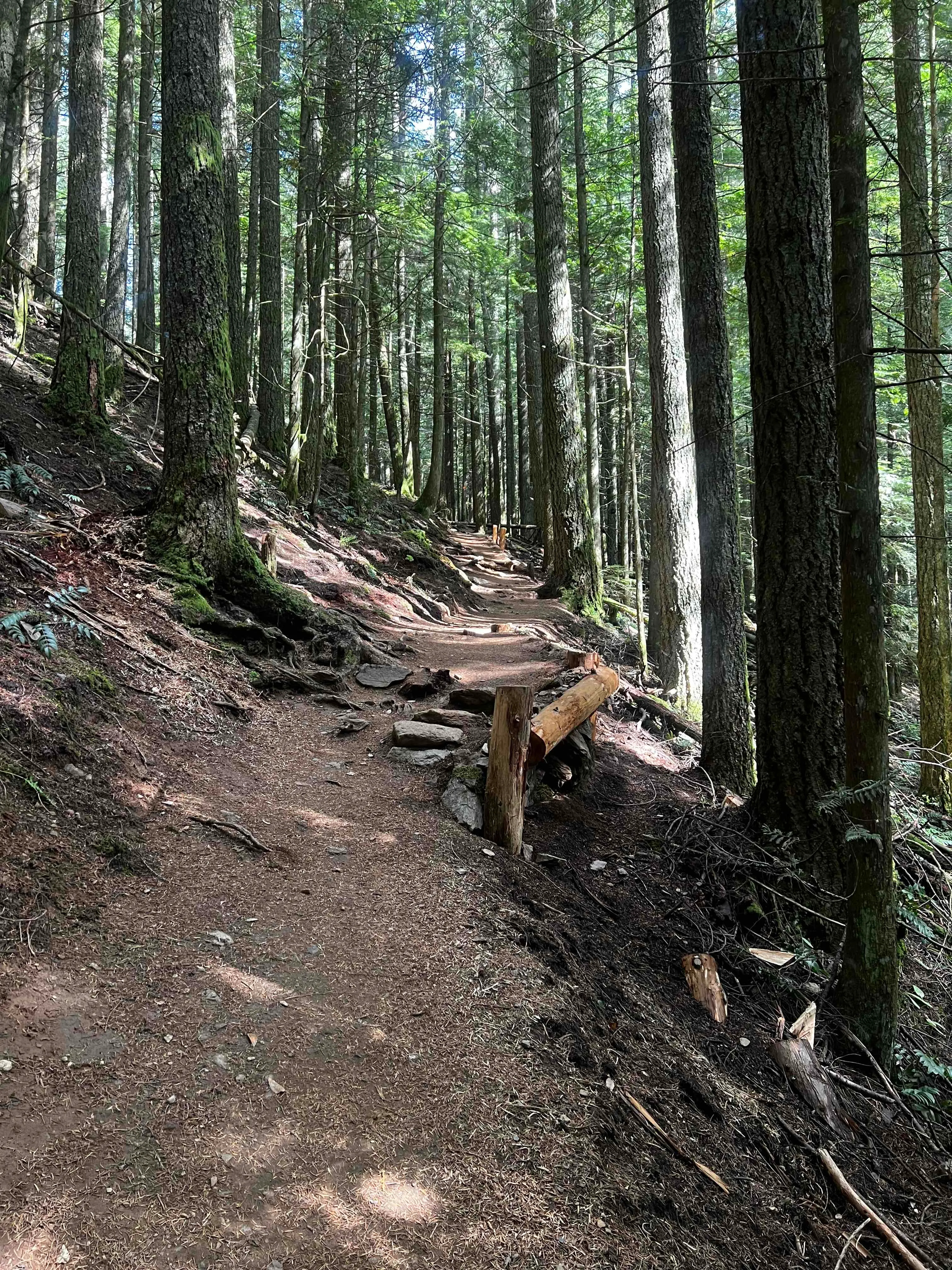 Hike to Elk Mountain 