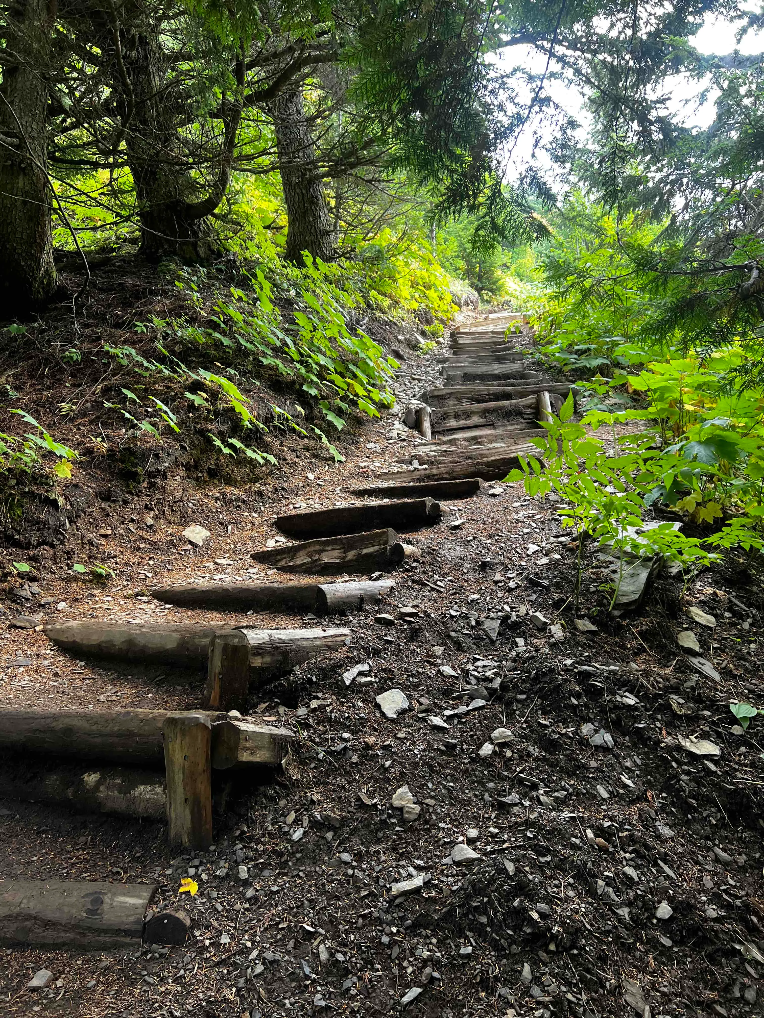 Hike to Elk Mountain 