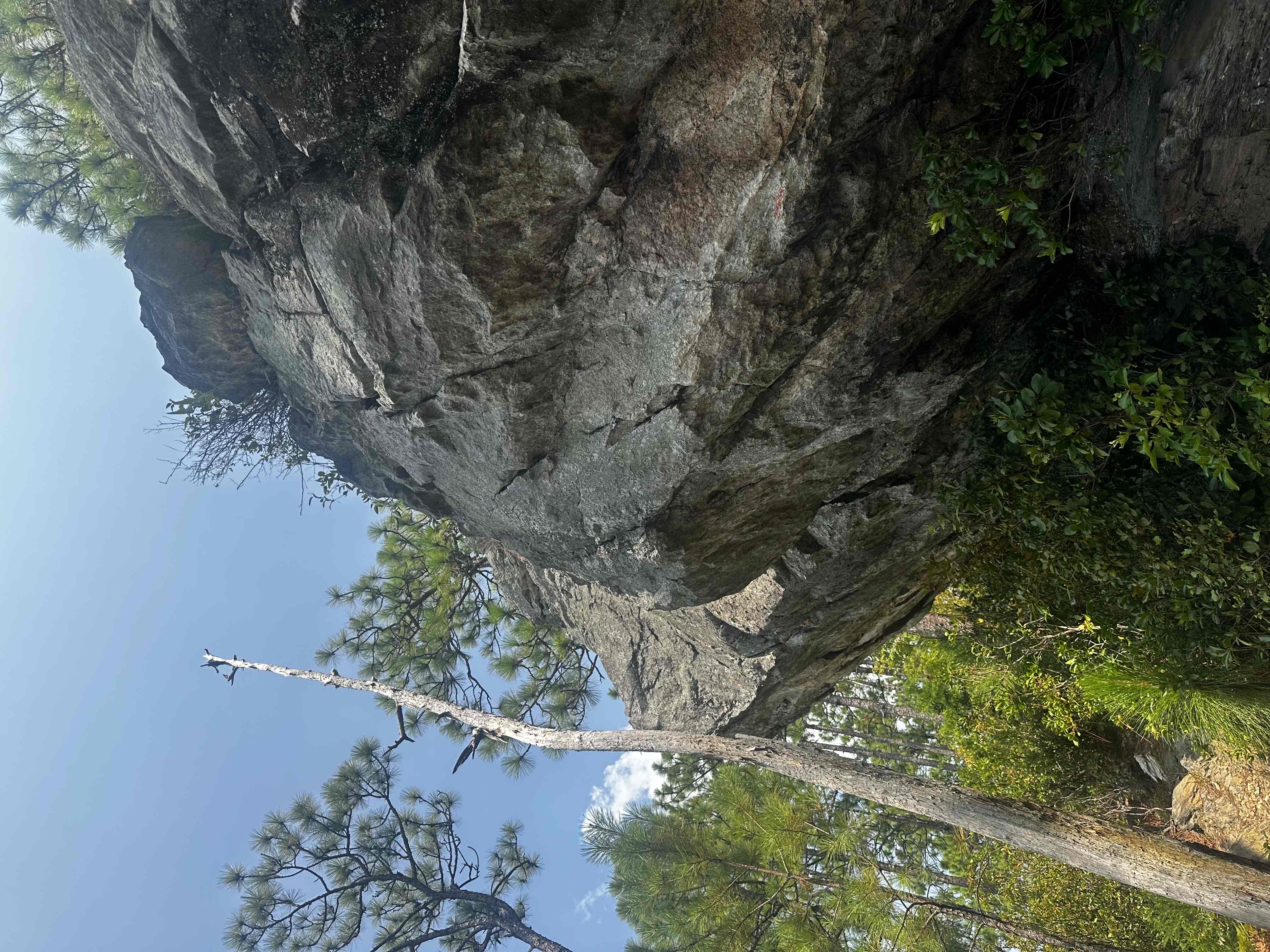 Smith Mountain Fire Tower (Lake Martin)