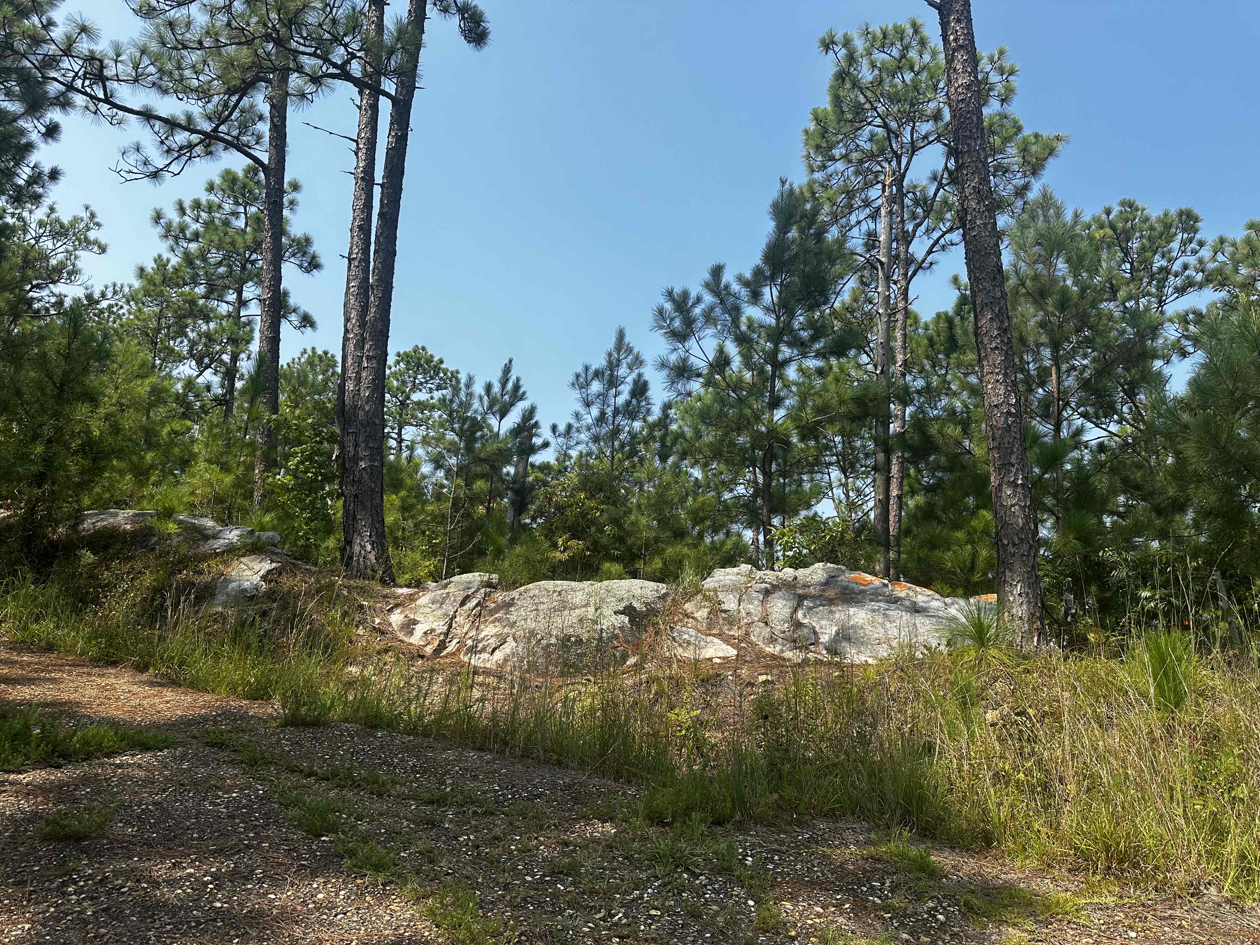 Smith Mountain Fire Tower (Lake Martin)
