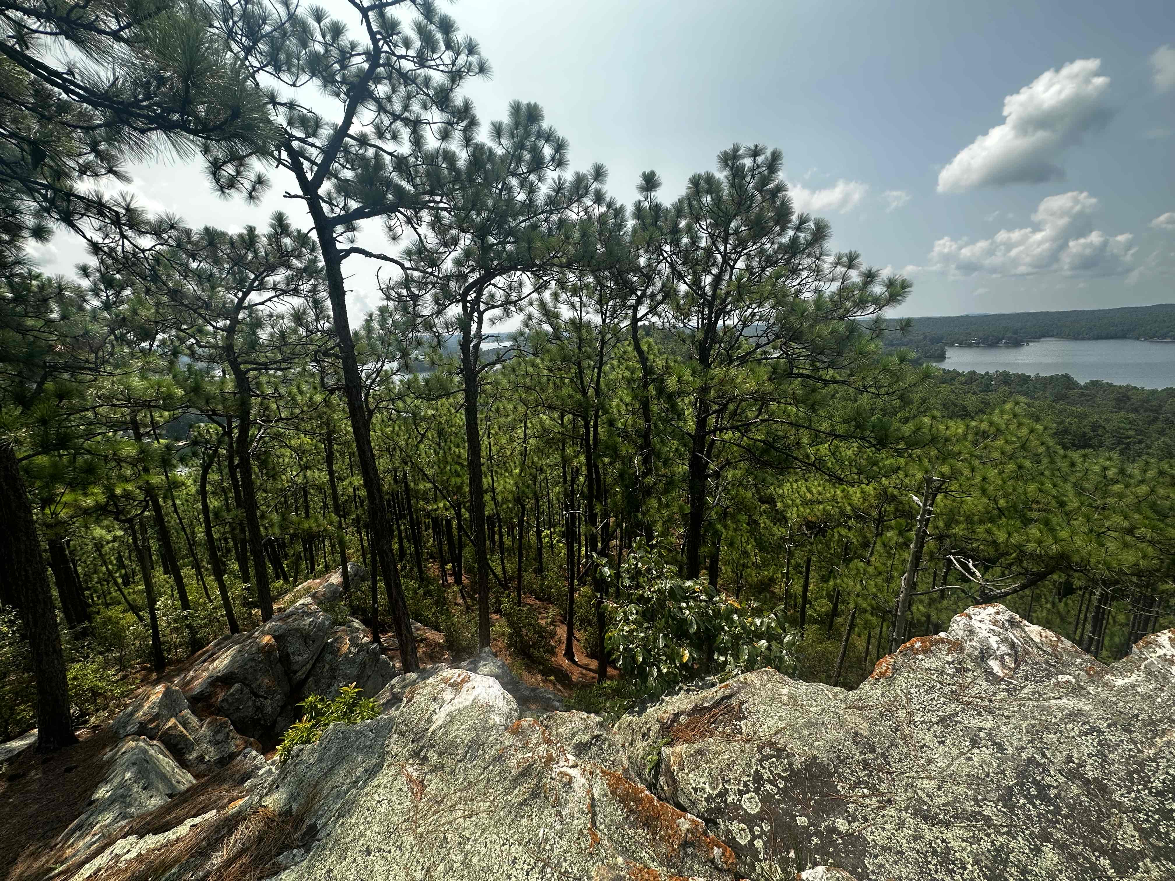 Smith Mountain Fire Tower (Lake Martin)