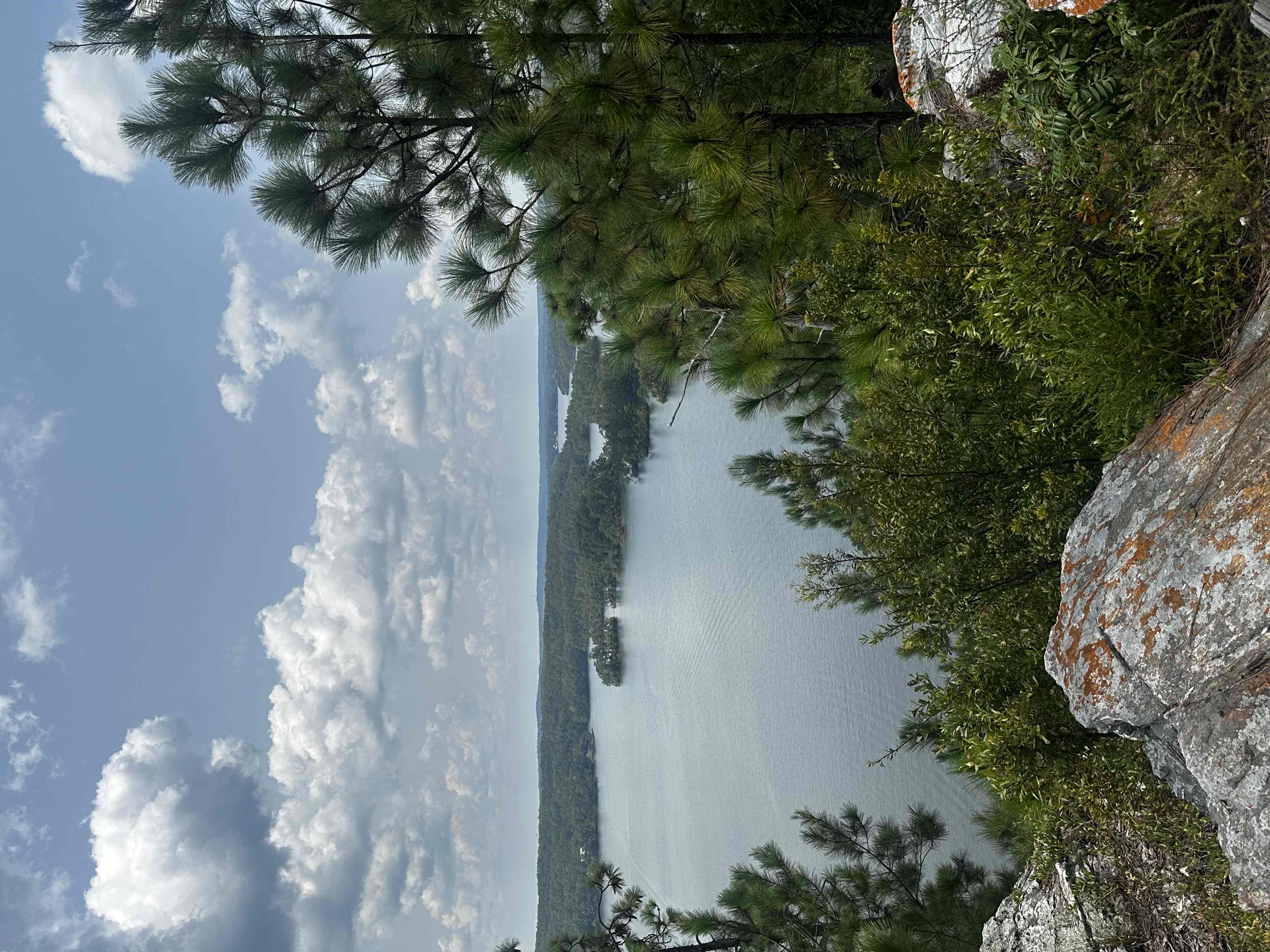 Smith Mountain Fire Tower (Lake Martin)